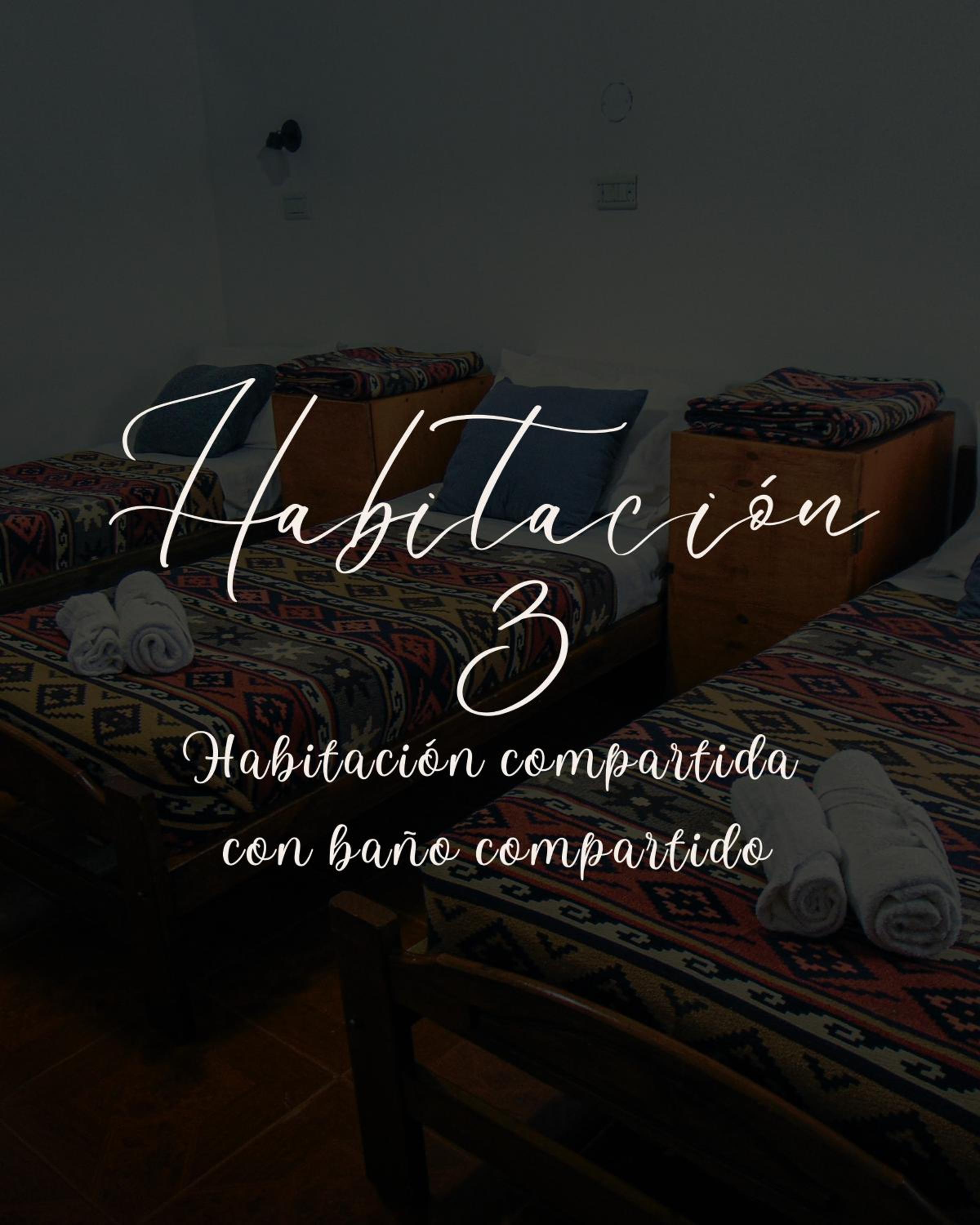 Single Bed In 4-Bed Dormitory Room photo 1