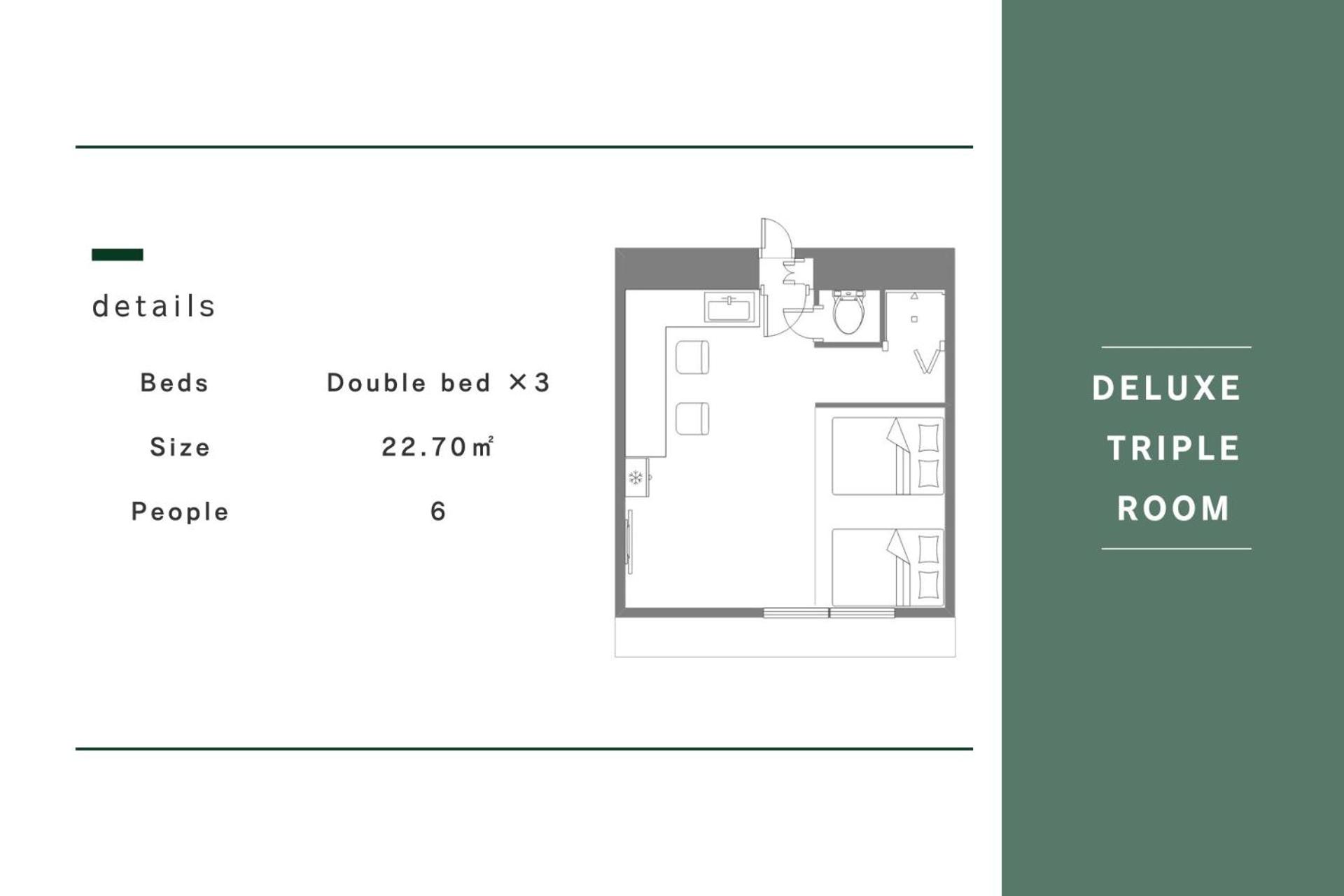 Deluxe Twin Room - Photo 13