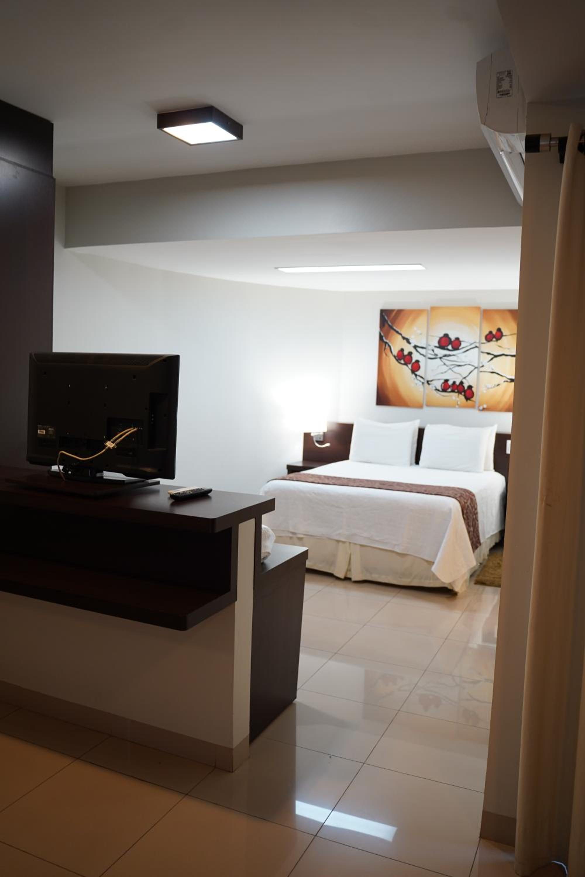 Deluxe Suite photo 1
