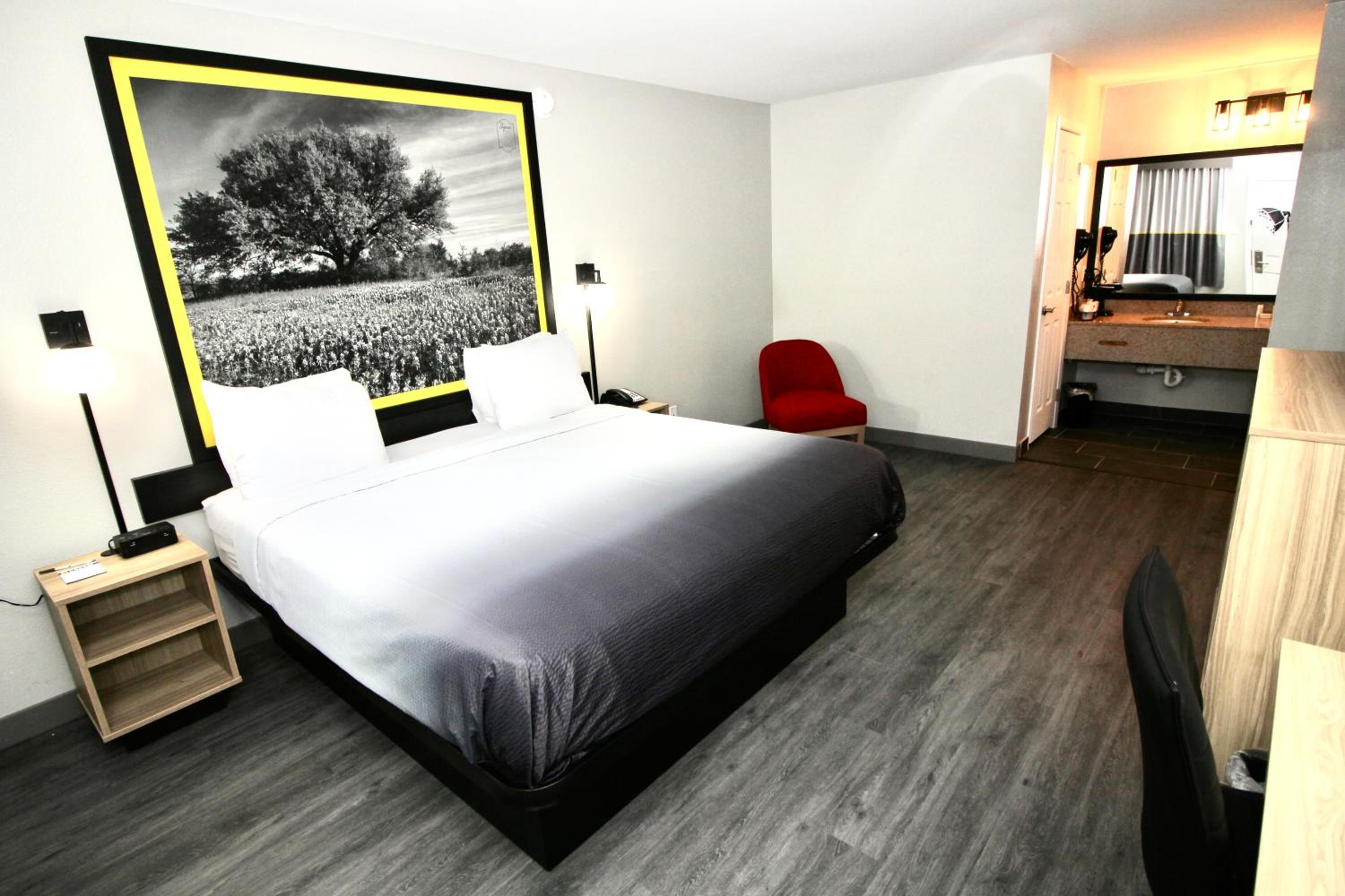 King Room - Non-Smoking - Photo 4