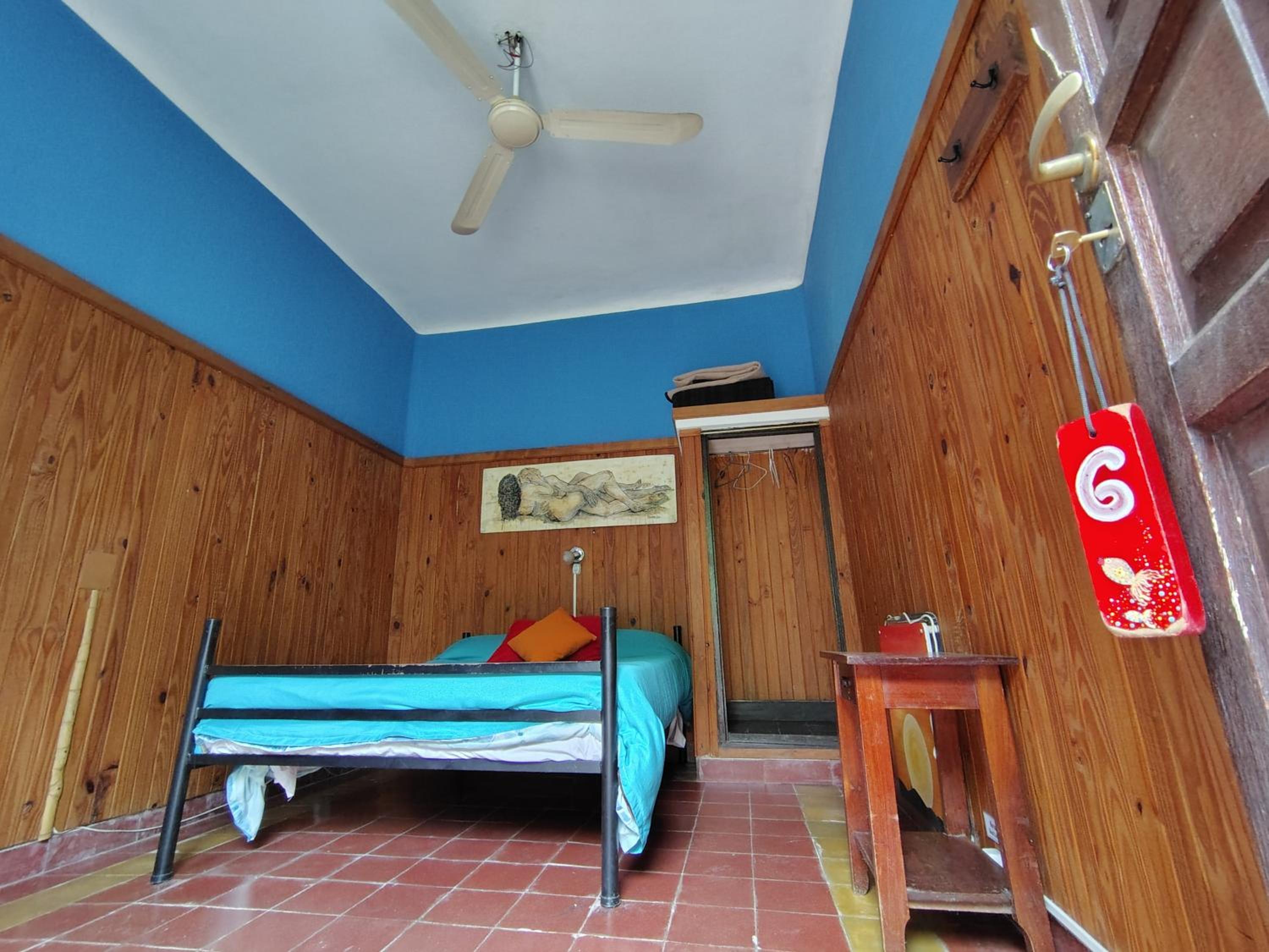 Single Room photo 2
