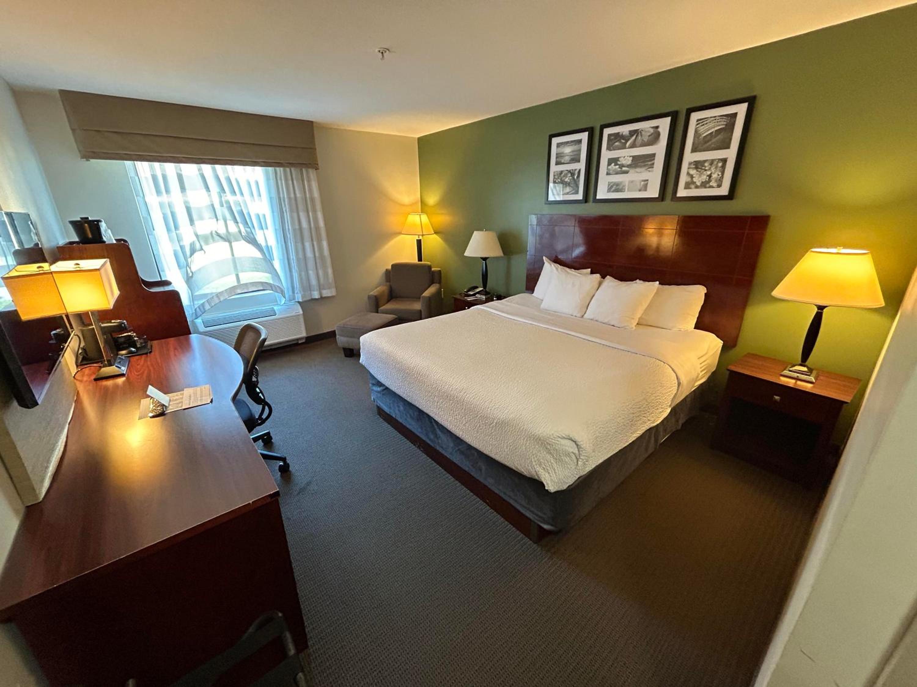 King Room - Non-Smoking - Photo 1