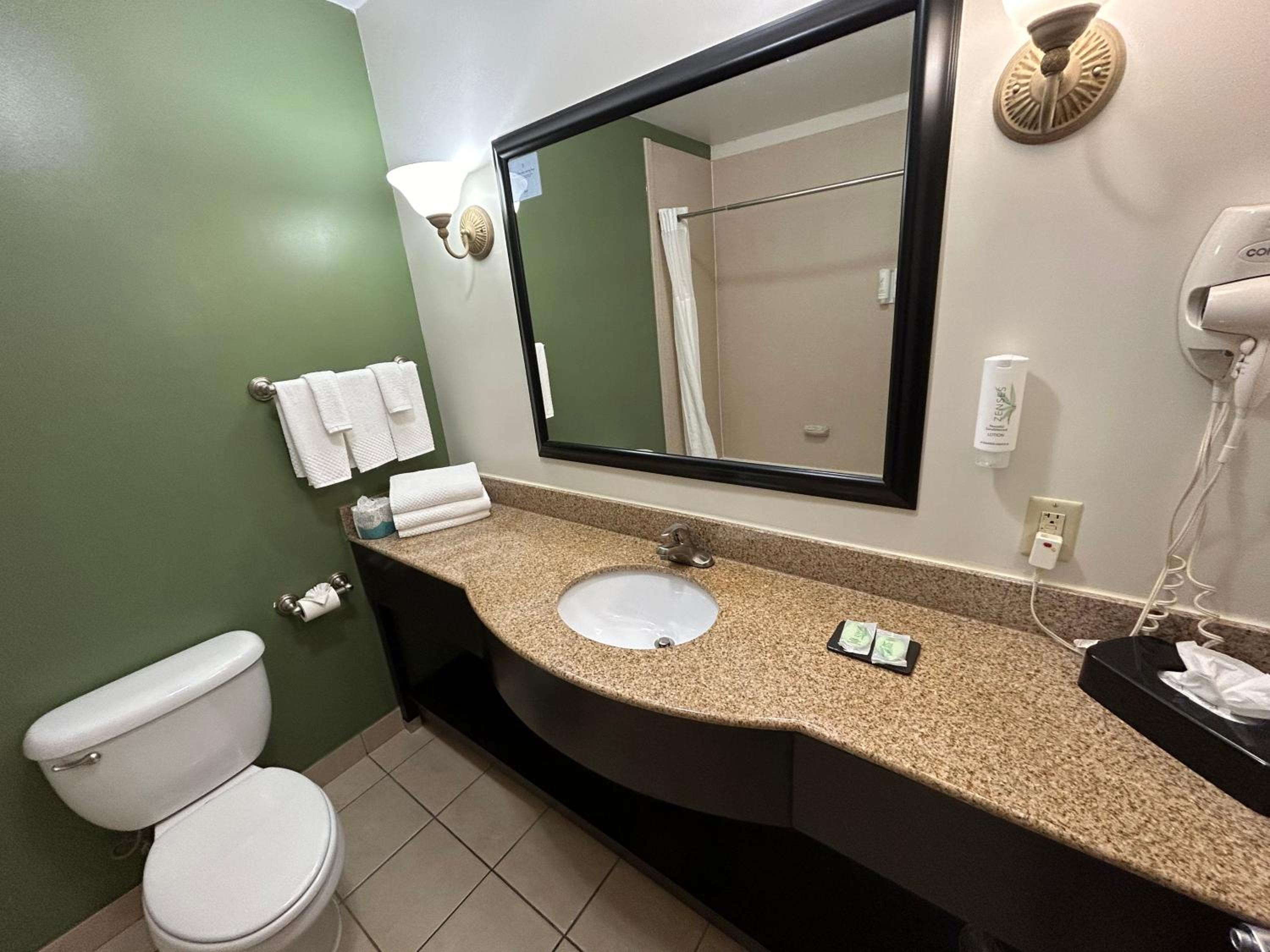 King Room - Non-Smoking - Photo 3