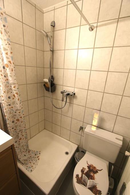 One-Bedroom Apartment photo 3