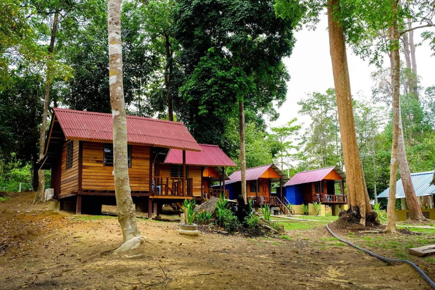 Chalet photo 1