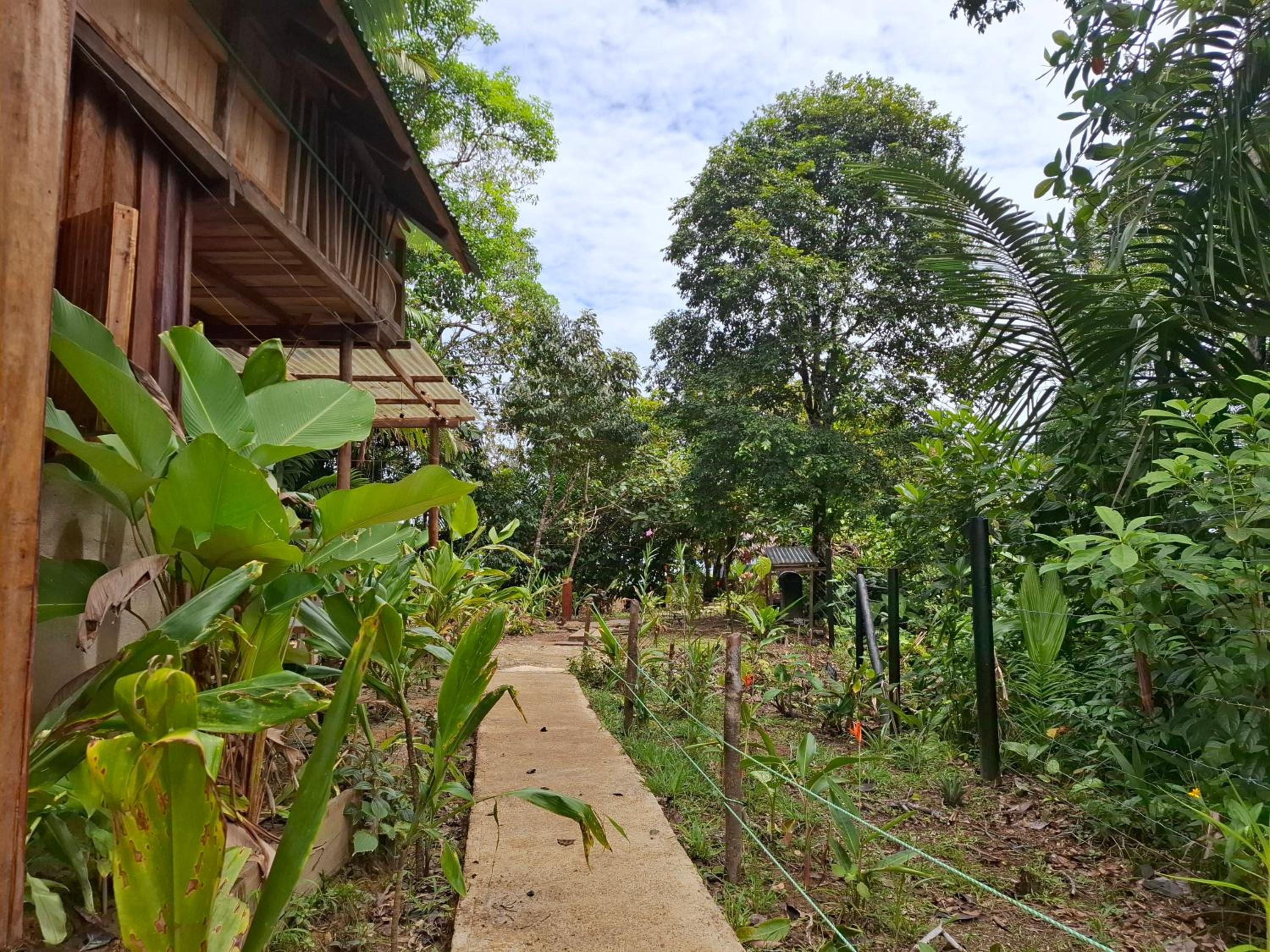 Family Bungalow photo 3