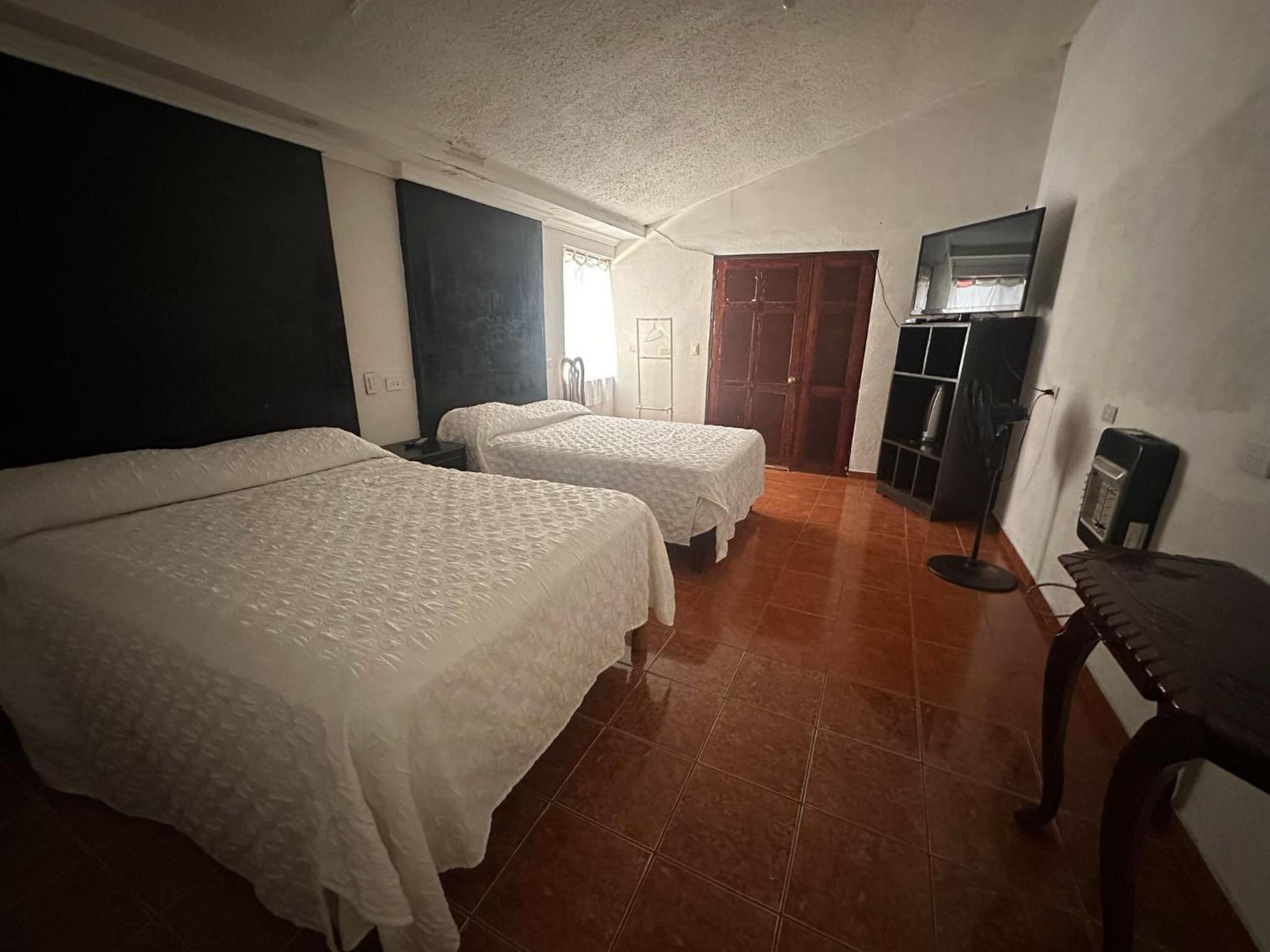 Twin Room photo 2