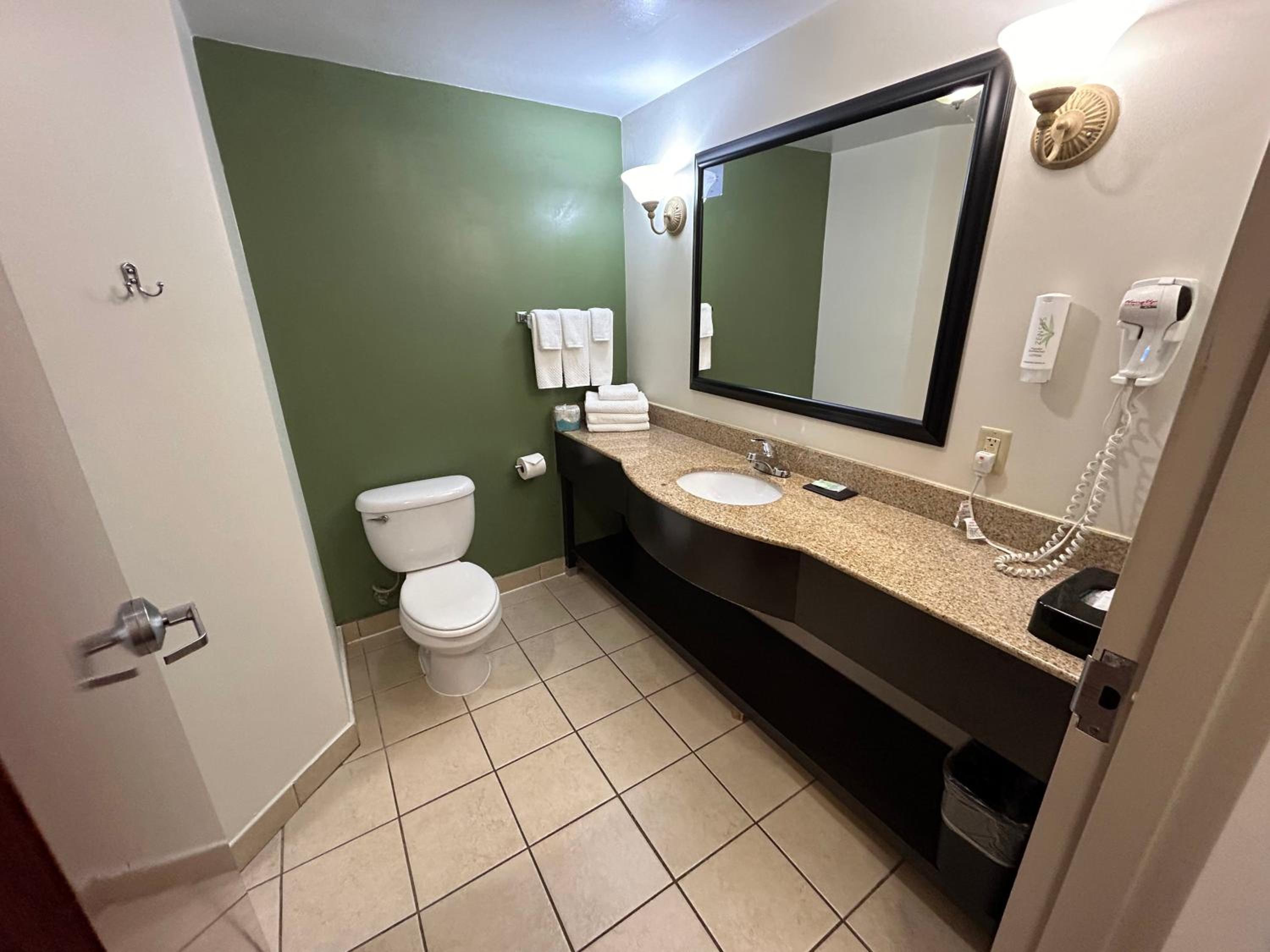 King Suite - Non-Smoking photo 2