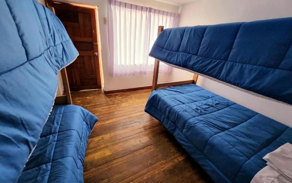 Bed In 6-Bed Mixed Dormitory Room