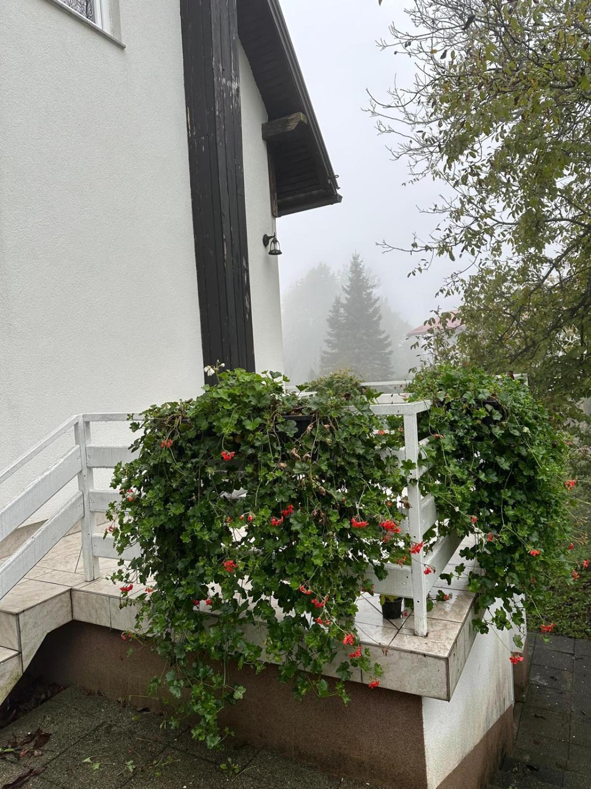 Double Room with Balcony - Photo 38