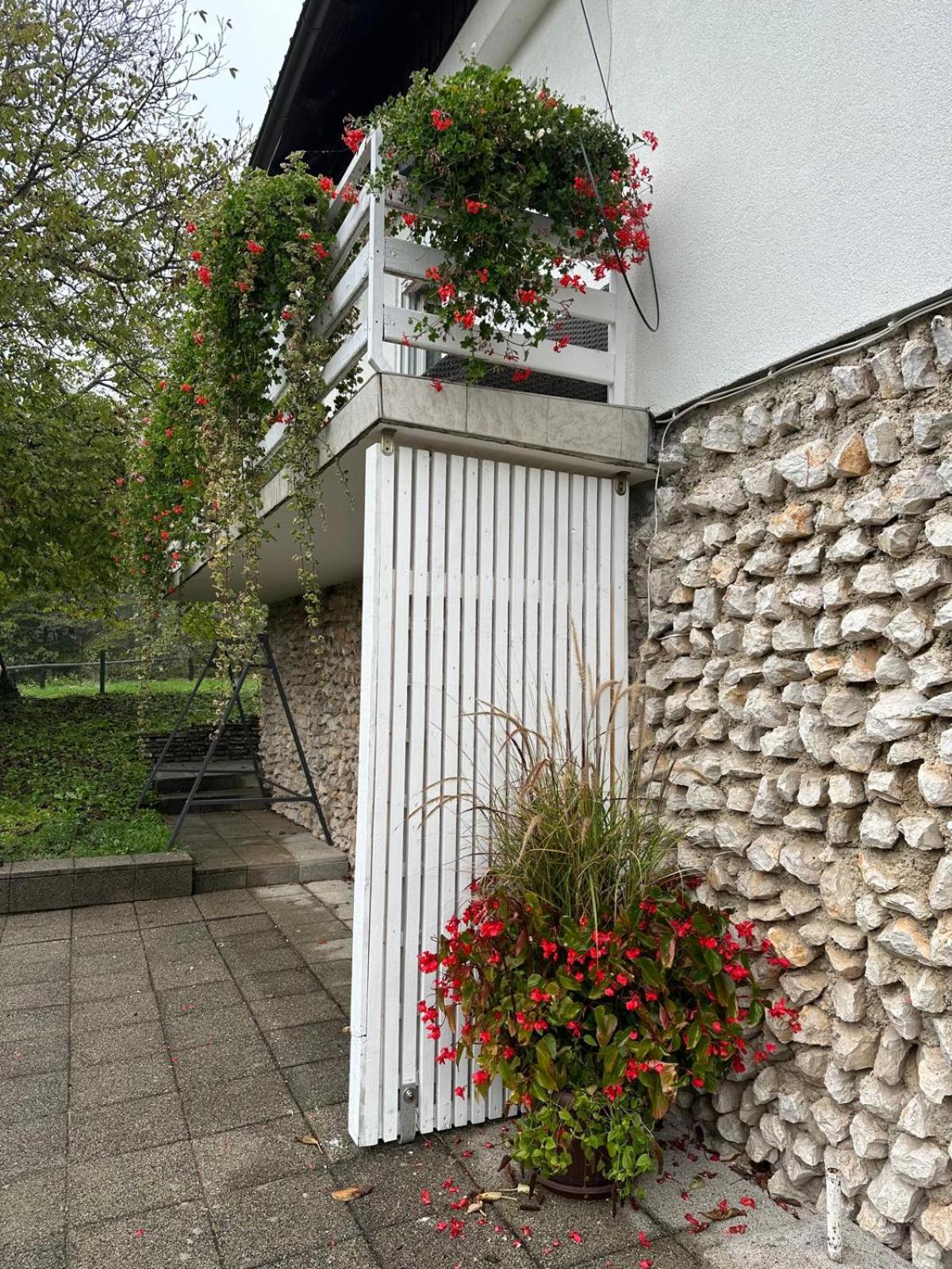 Double Room with Terrace - Photo 4