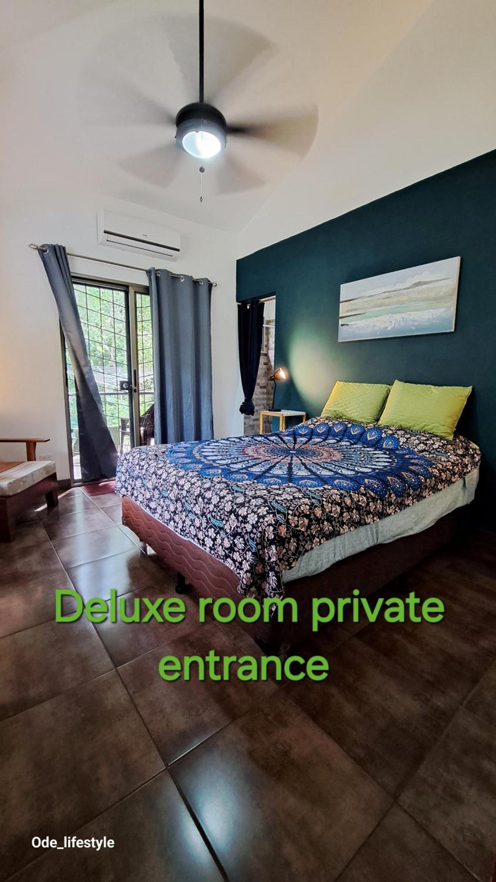 Deluxe Double Room with Private Entrance photo 2