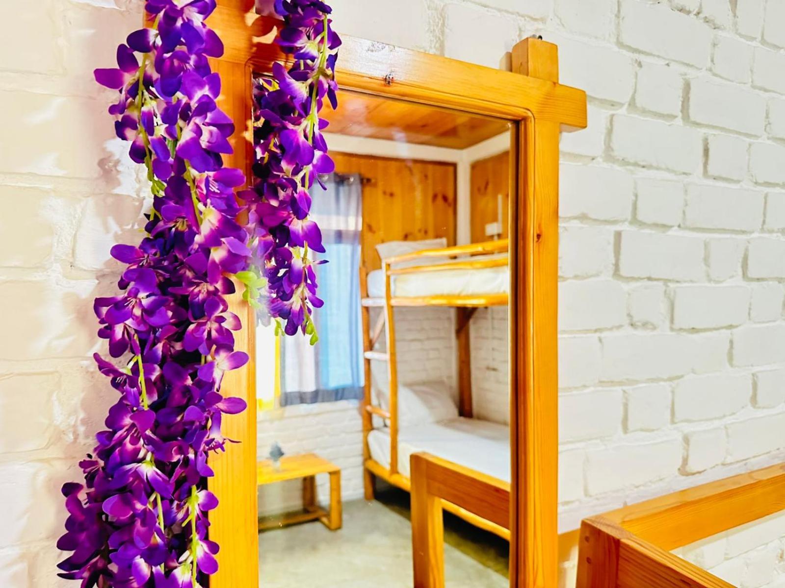Bed in 6-Bed Mixed Dormitory Room photo 3