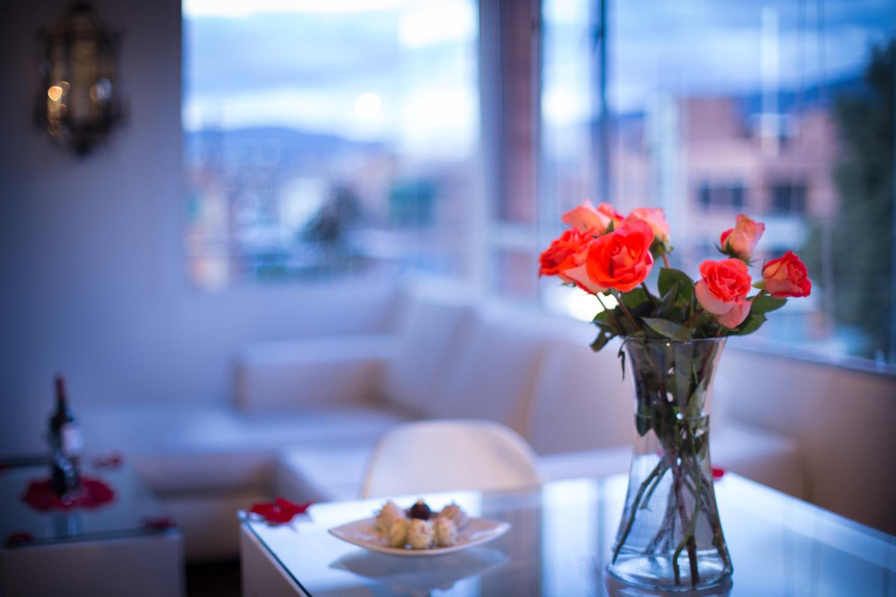 Deluxe Suite - Photo 11