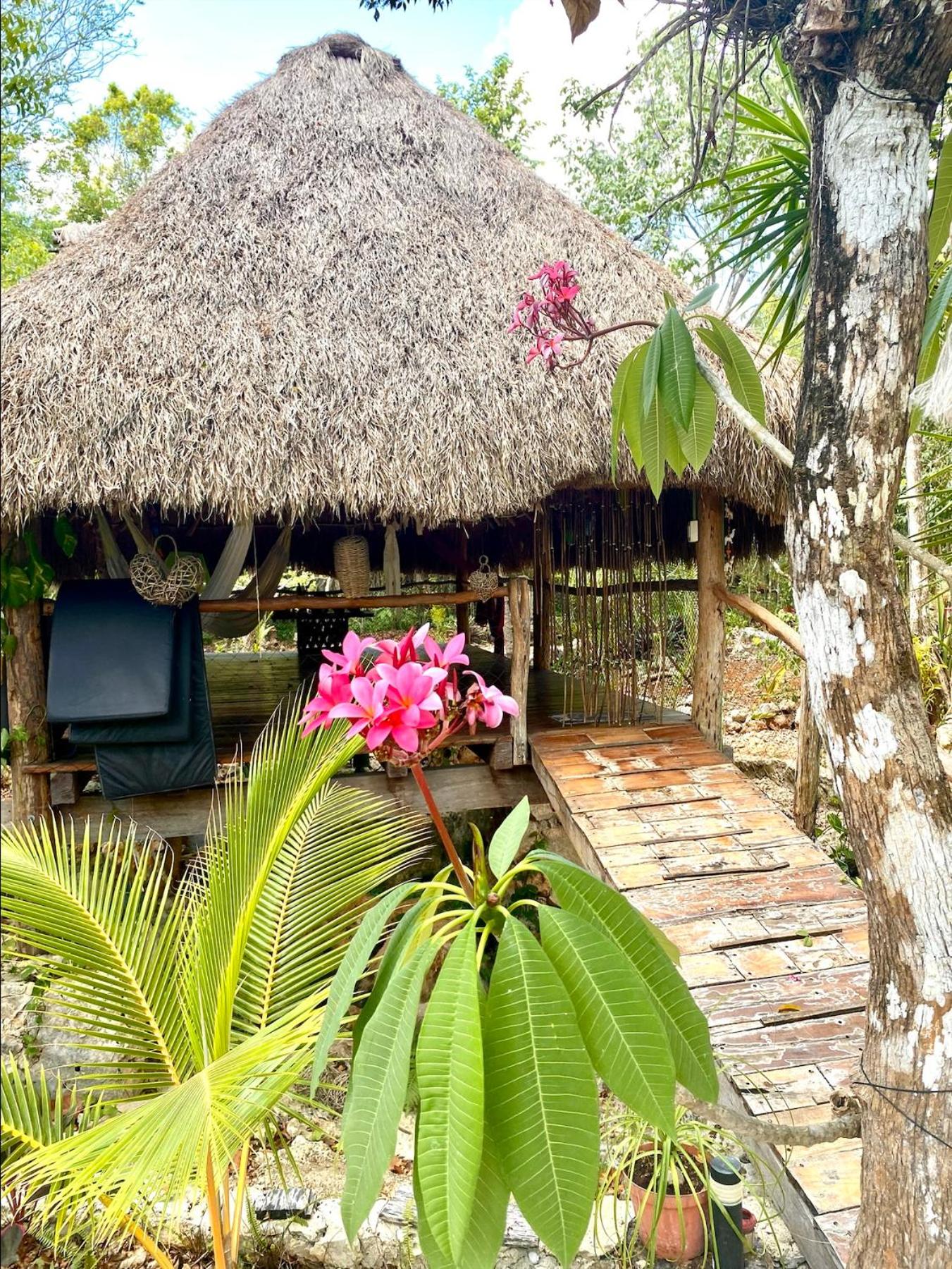 Bungalow with Garden View photo 3