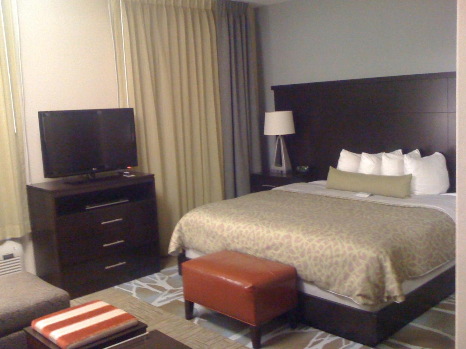 Studio Suite - Photo 6