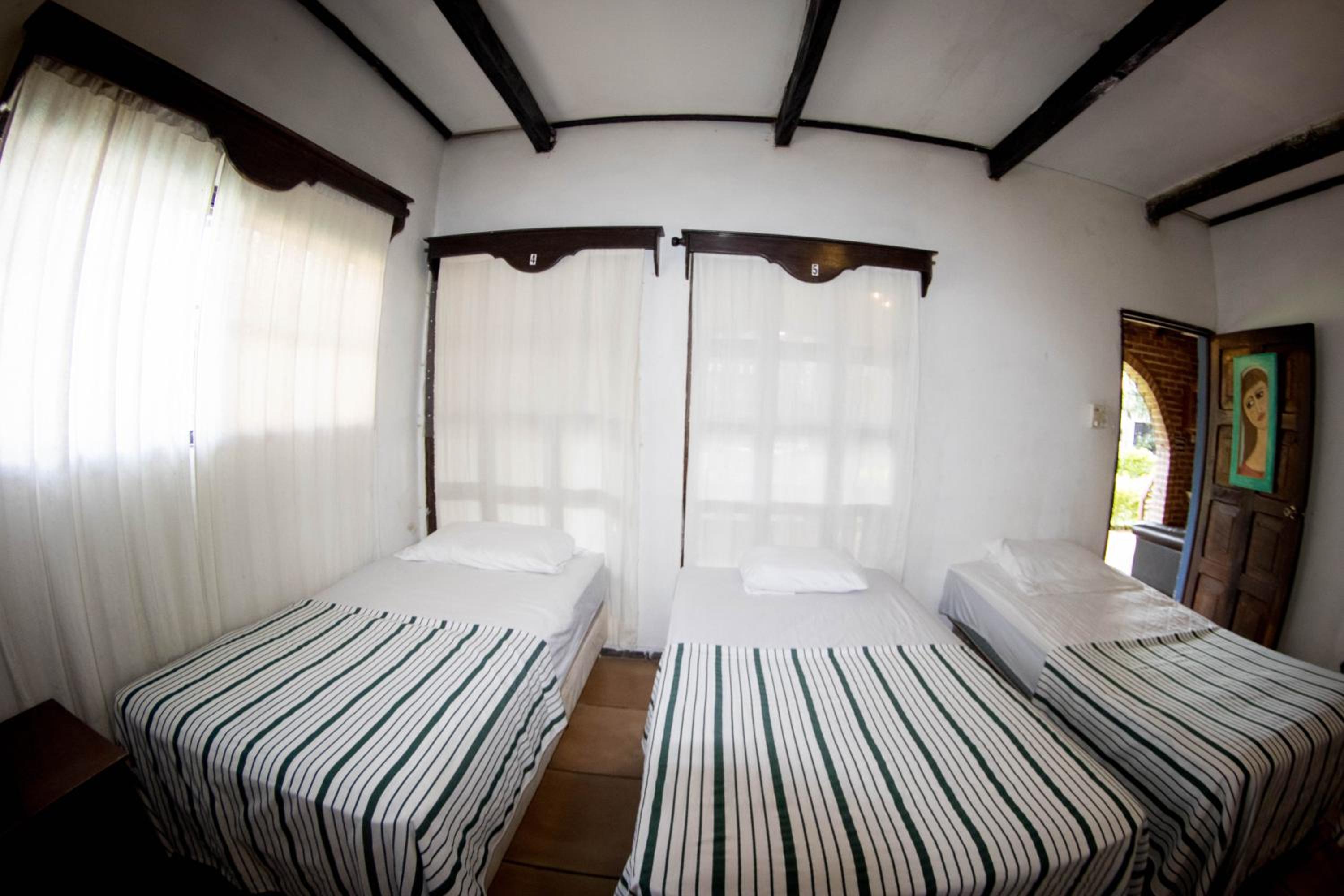 Bunk Bed in Mixed Dormitory Room photo 3