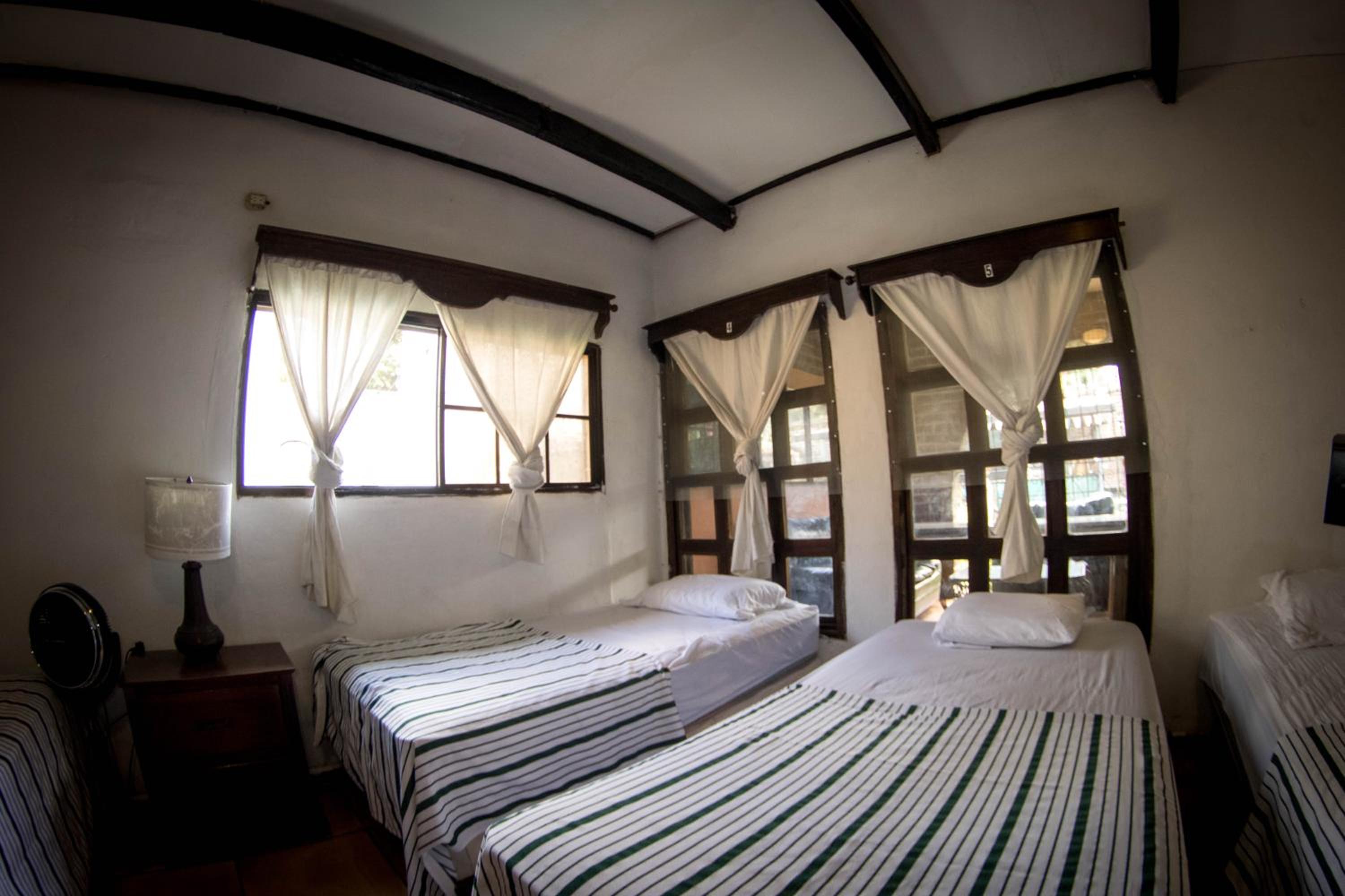 Single Bed in Female Dormitory Room photo 1