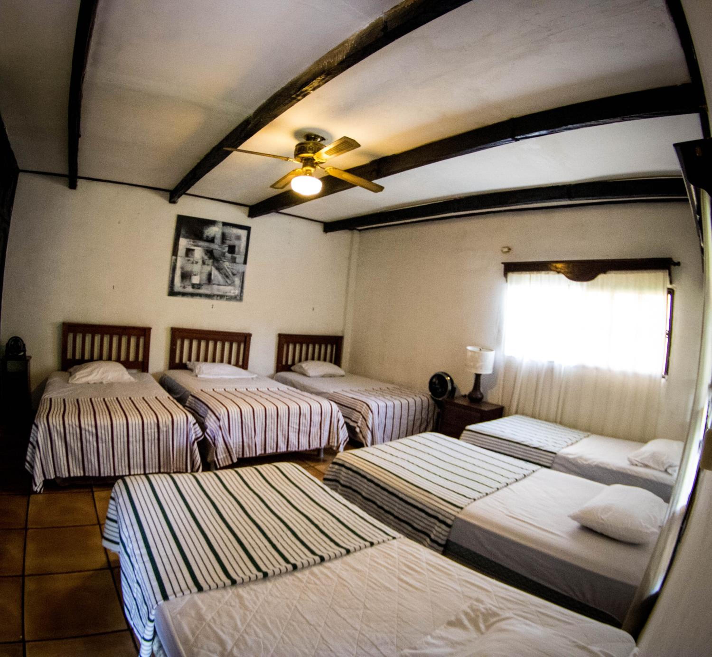 Single Bed in Female Dormitory Room photo 2