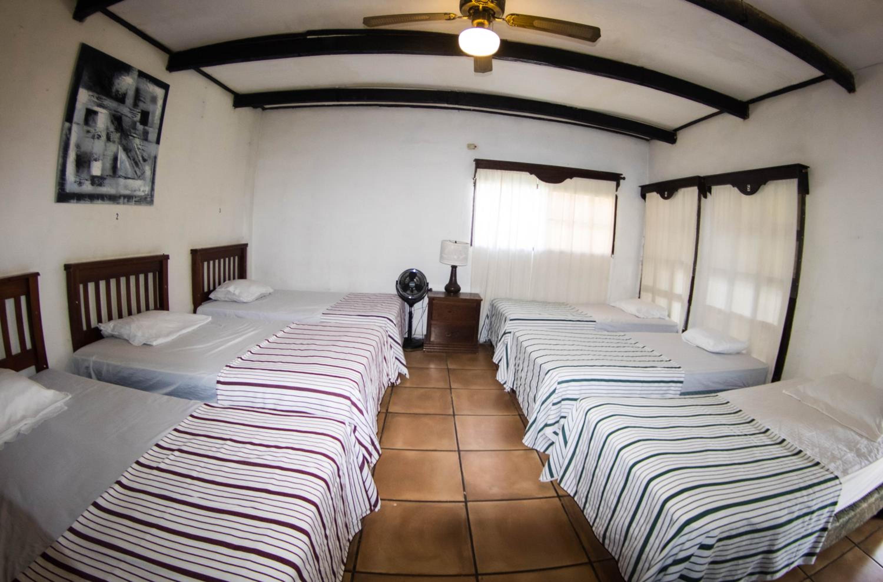 Single Bed in Female Dormitory Room photo 3