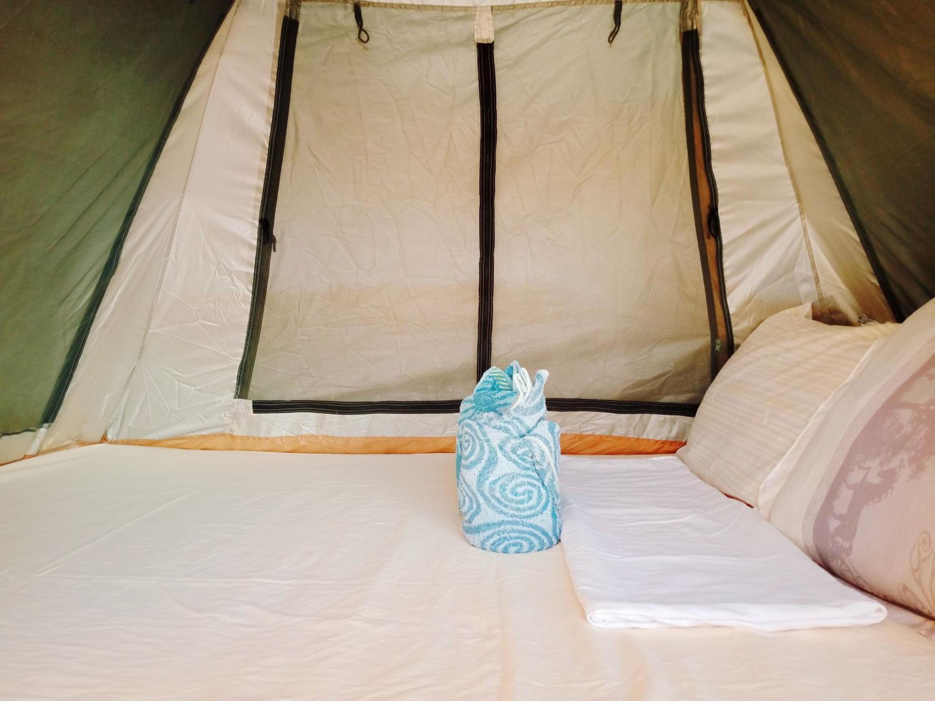 Tent photo 3