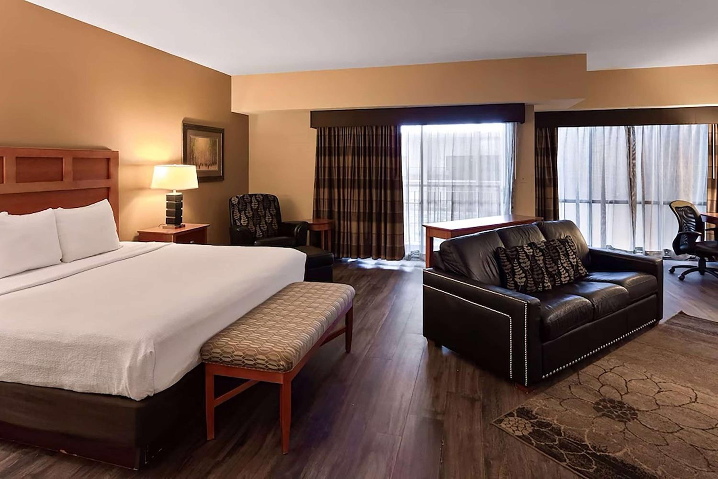 Deluxe King Suite - Non-Smoking - Photo 1