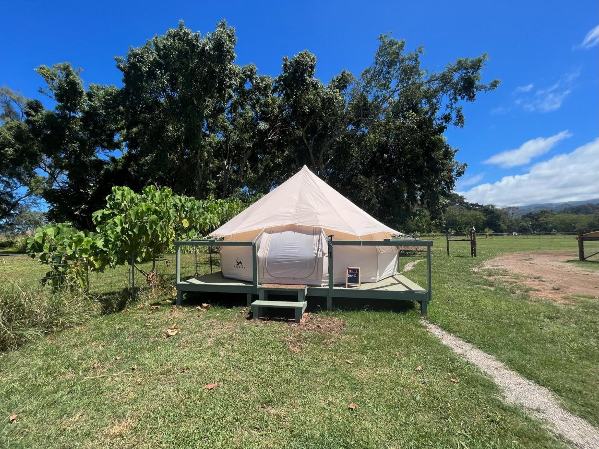 Tent photo 2