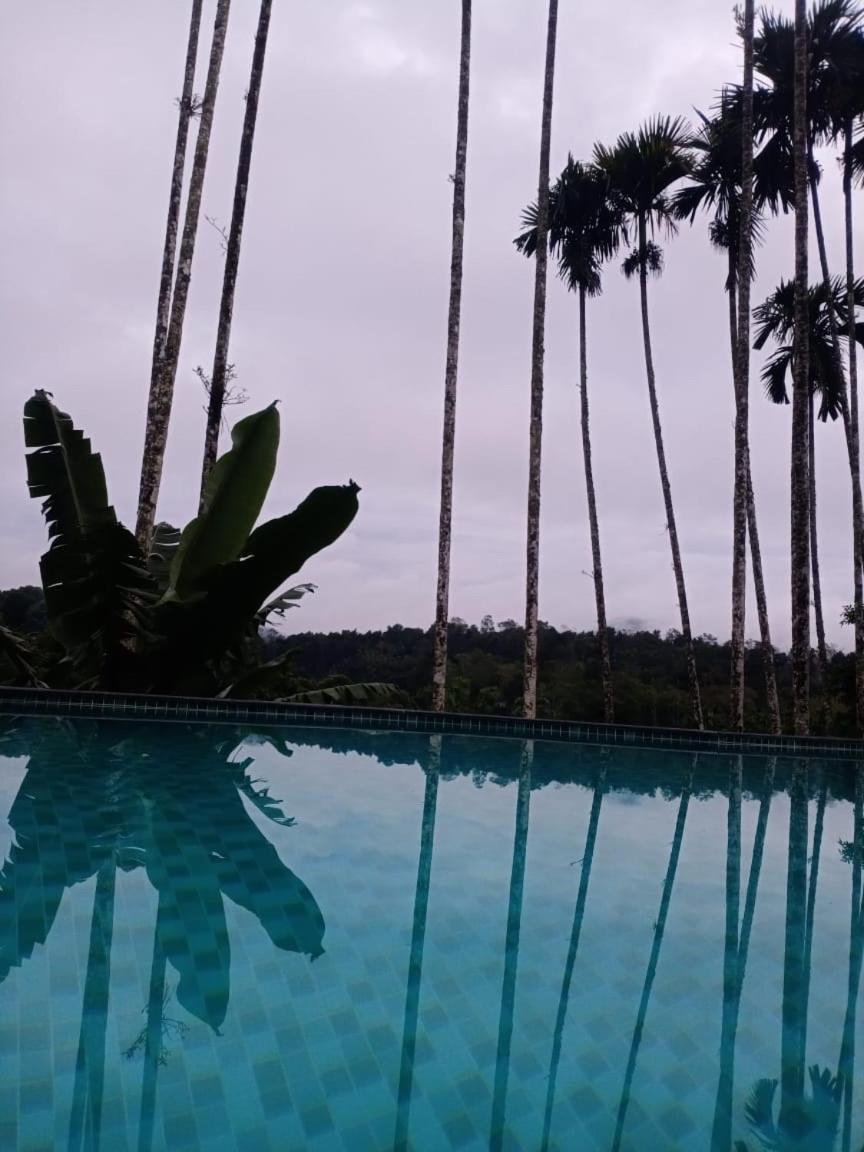 Triple Room With Pool View photo 1