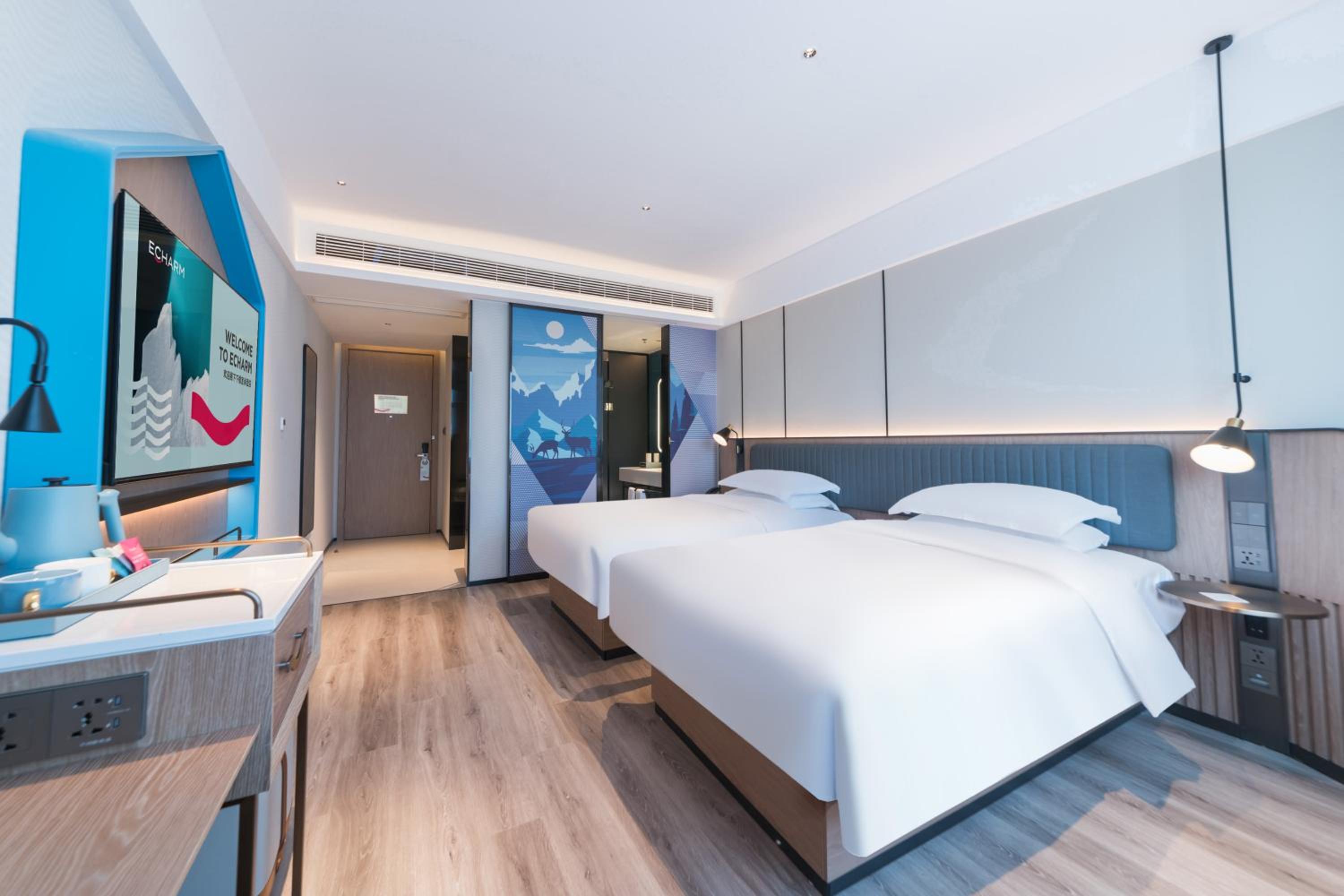 Deluxe Twin Room photo 1