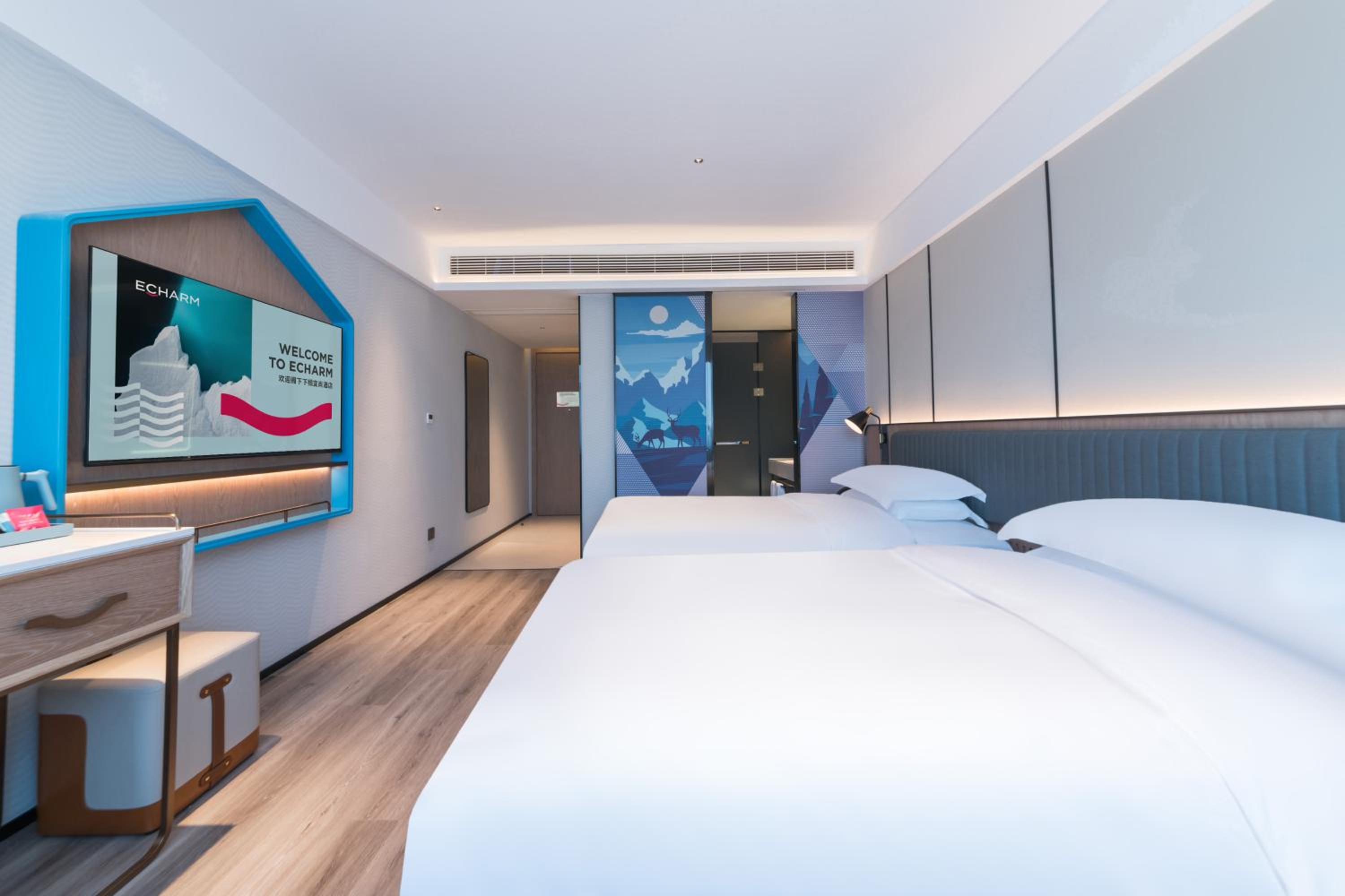 Deluxe Twin Room photo 3