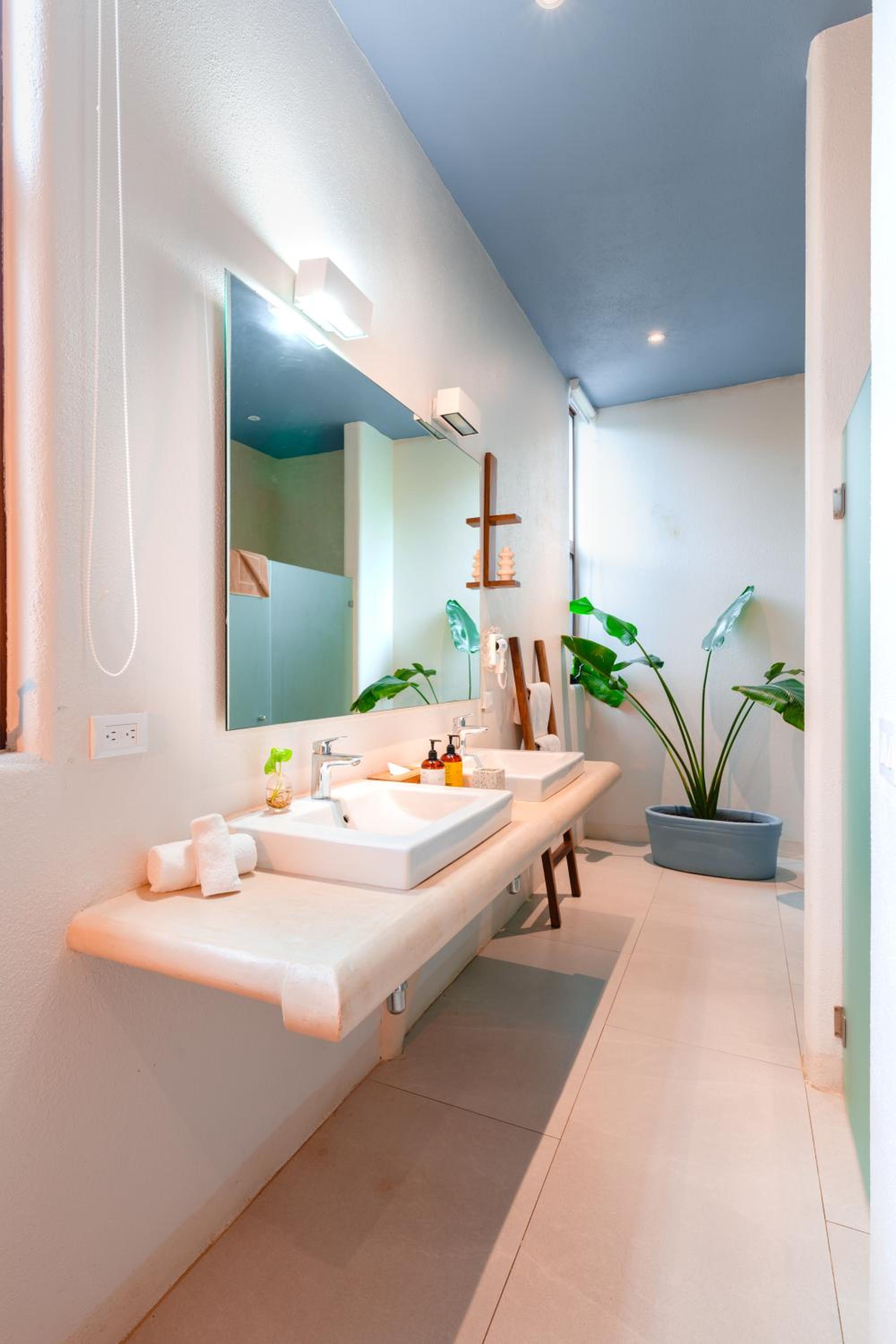 Deluxe King Suite - Photo 11