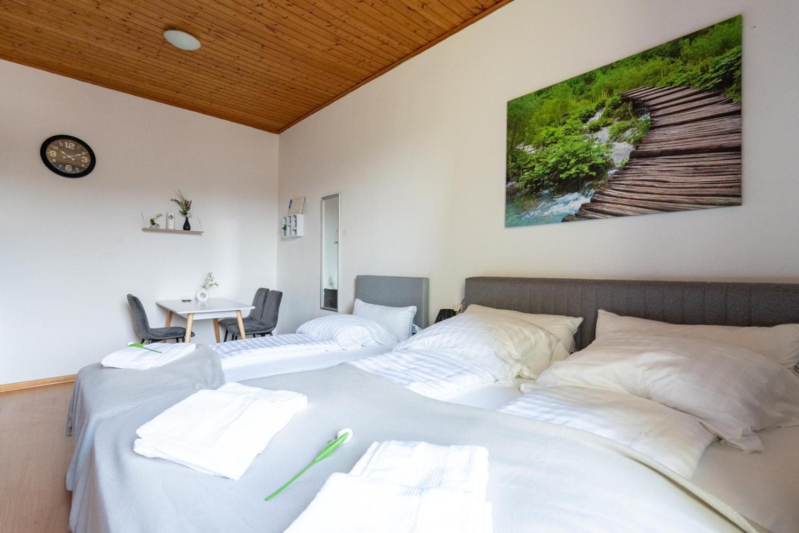 Studio Apartment photo 3