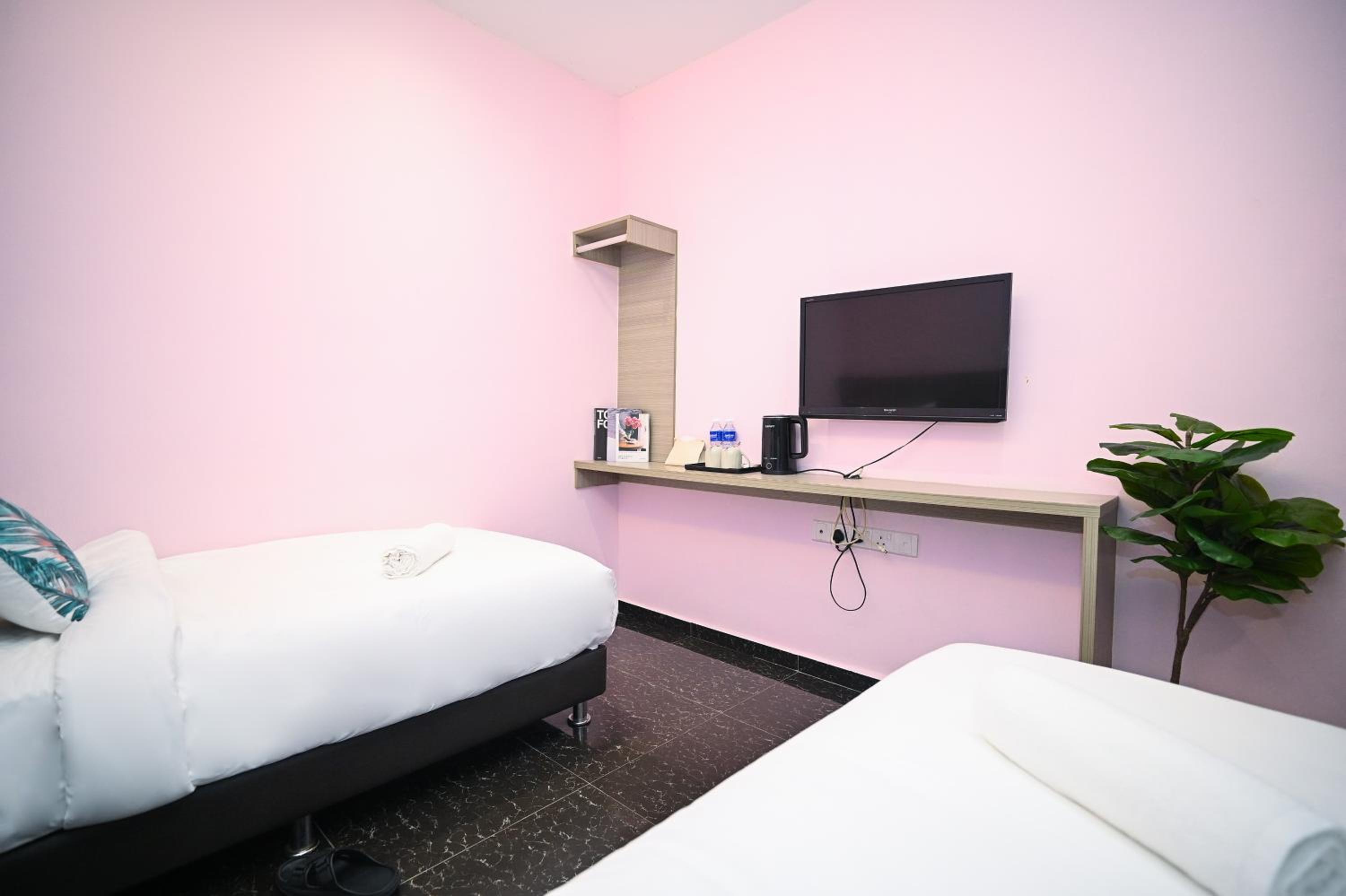 Standard Twin Room photo 3
