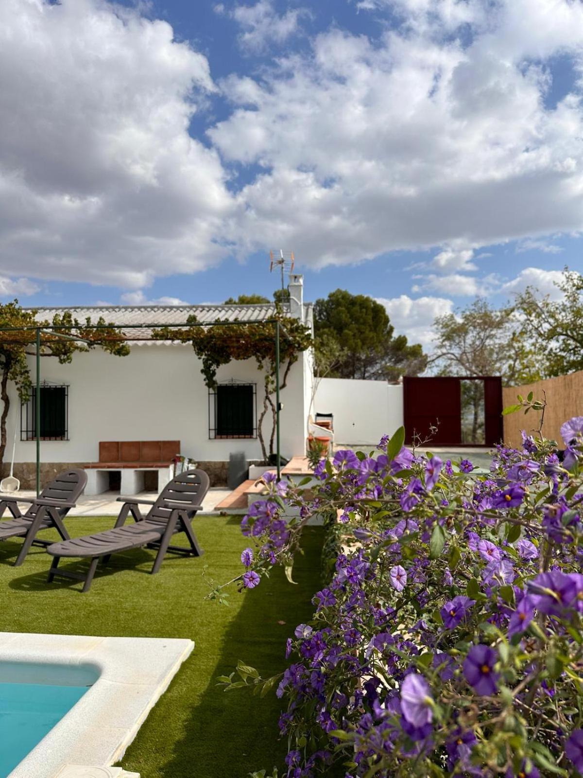 Vacation Home photo 3