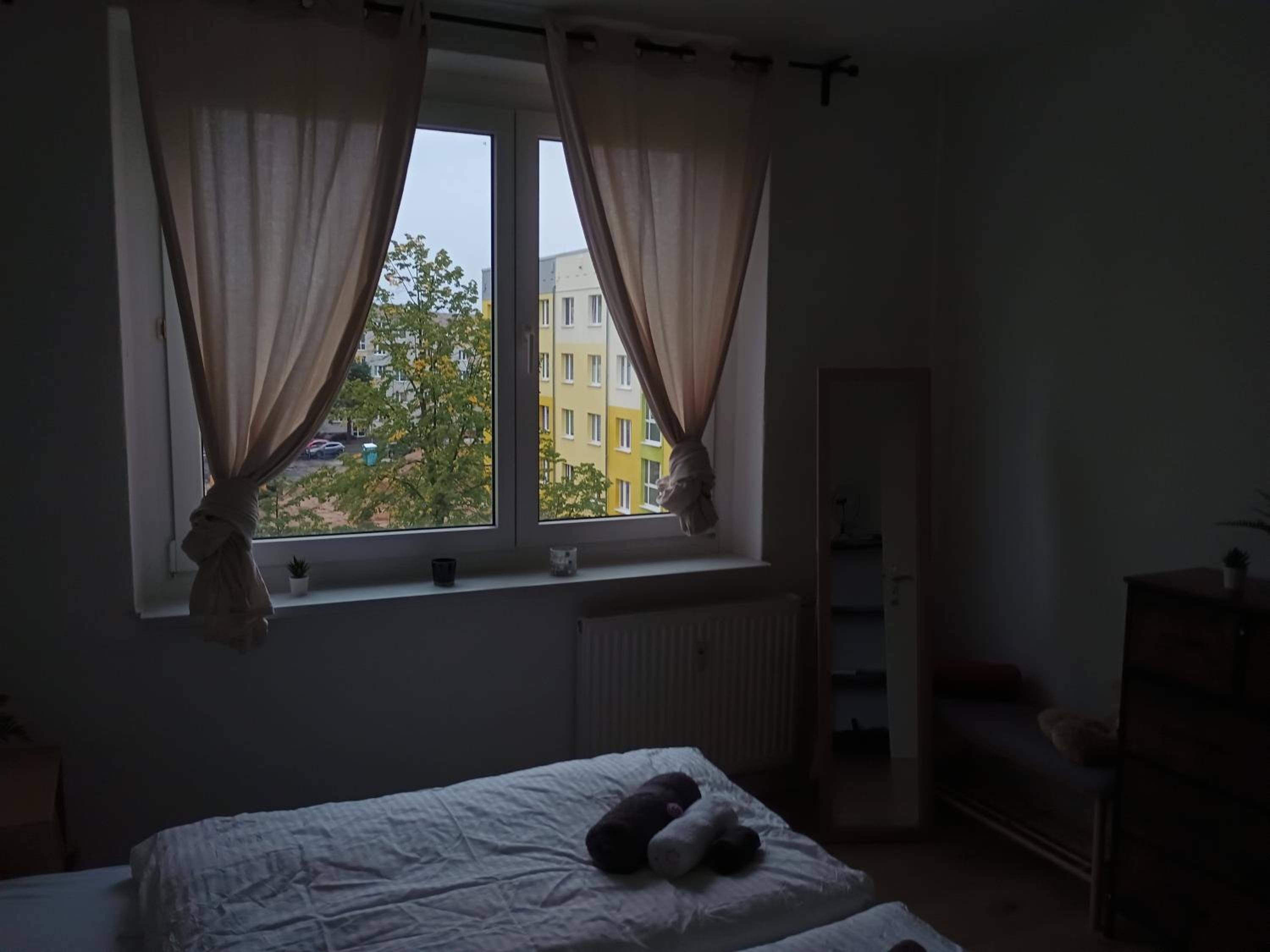 One-Bedroom Apartment photo 3