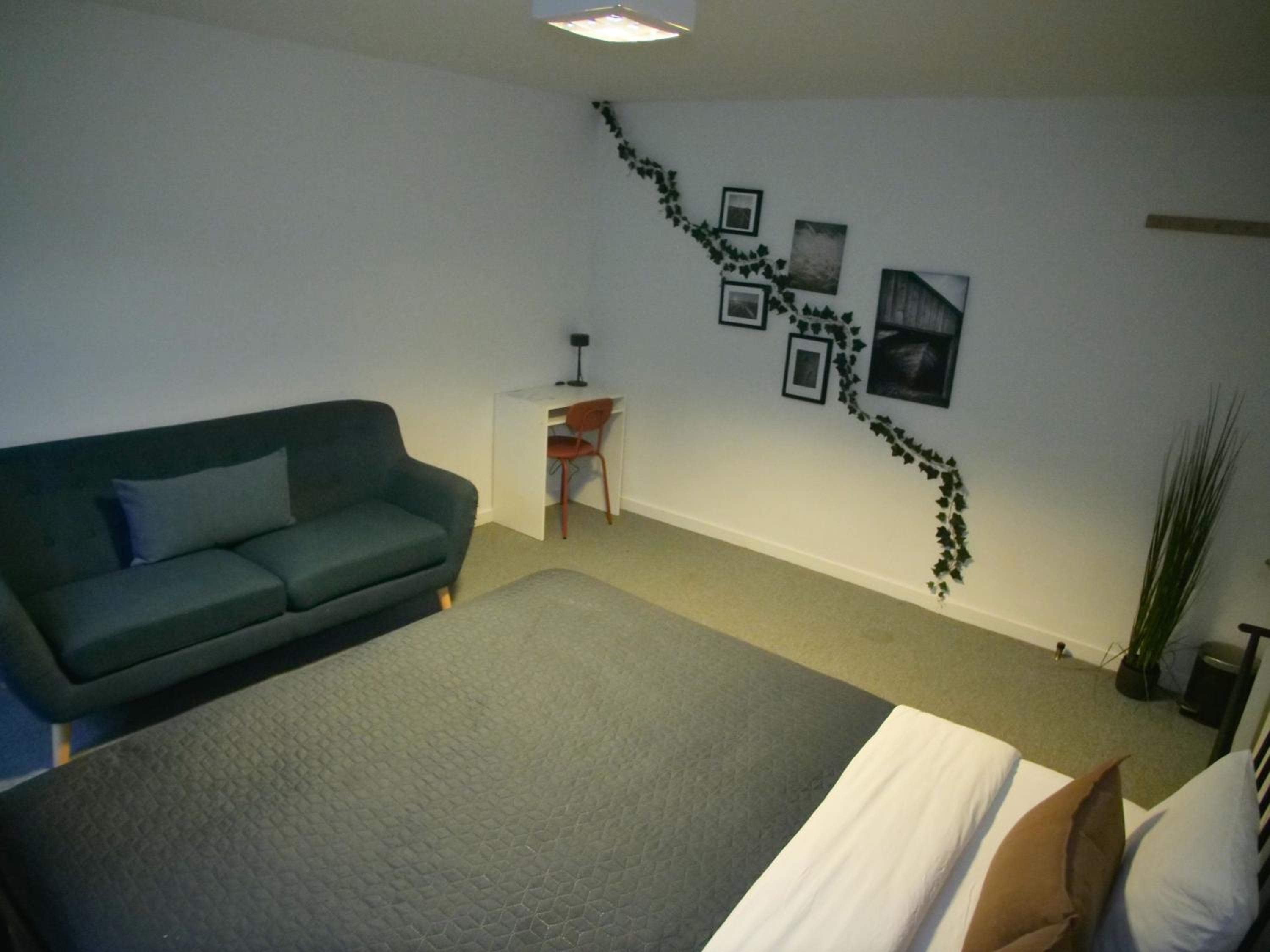 Deluxe Double Room photo 3