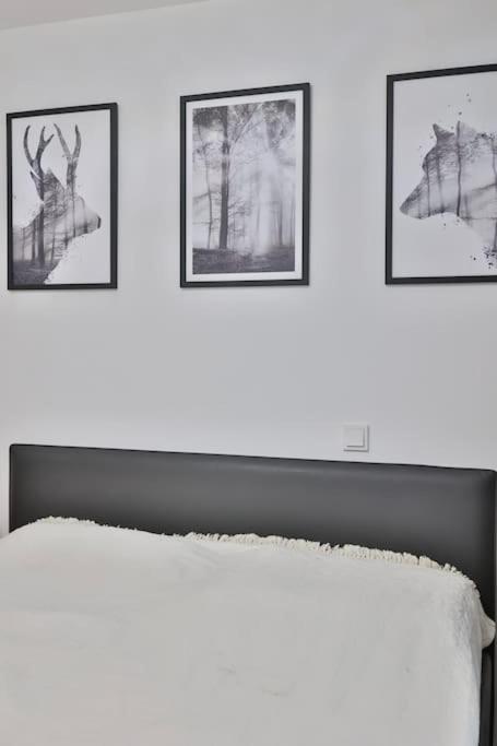 Three-Bedroom Apartment photo 1