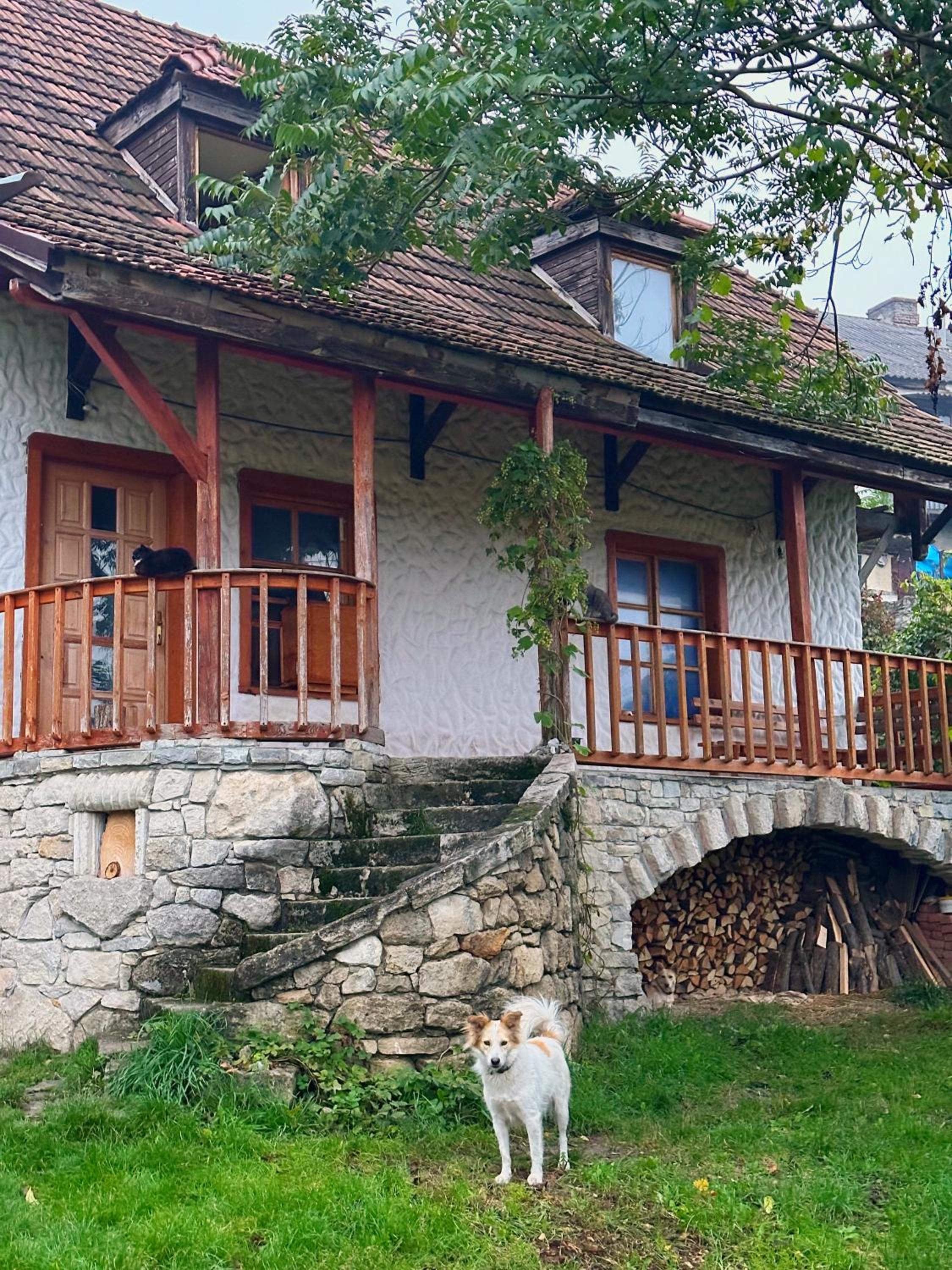Vacation Home photo 3