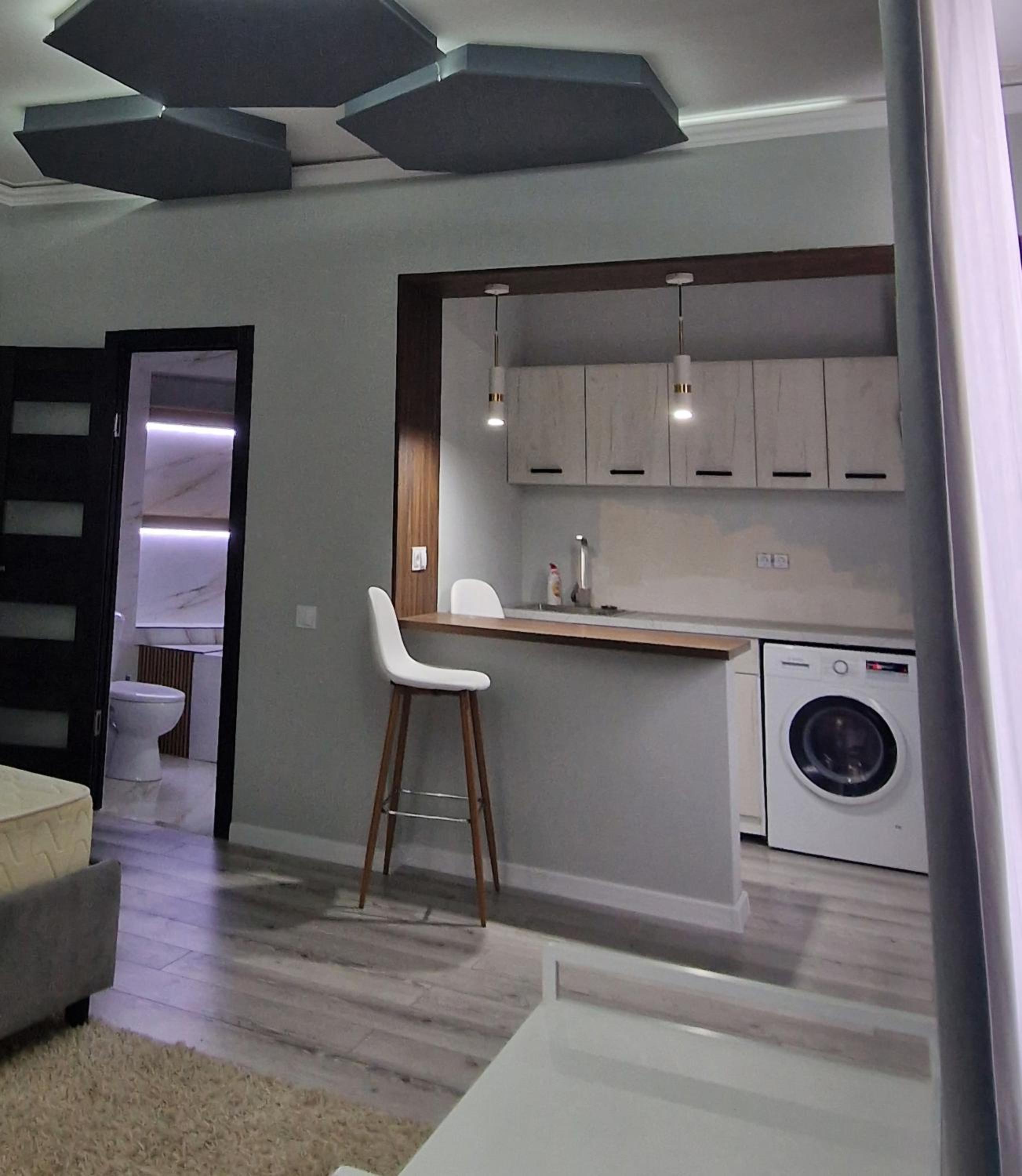 One-Bedroom Apartment photo 2