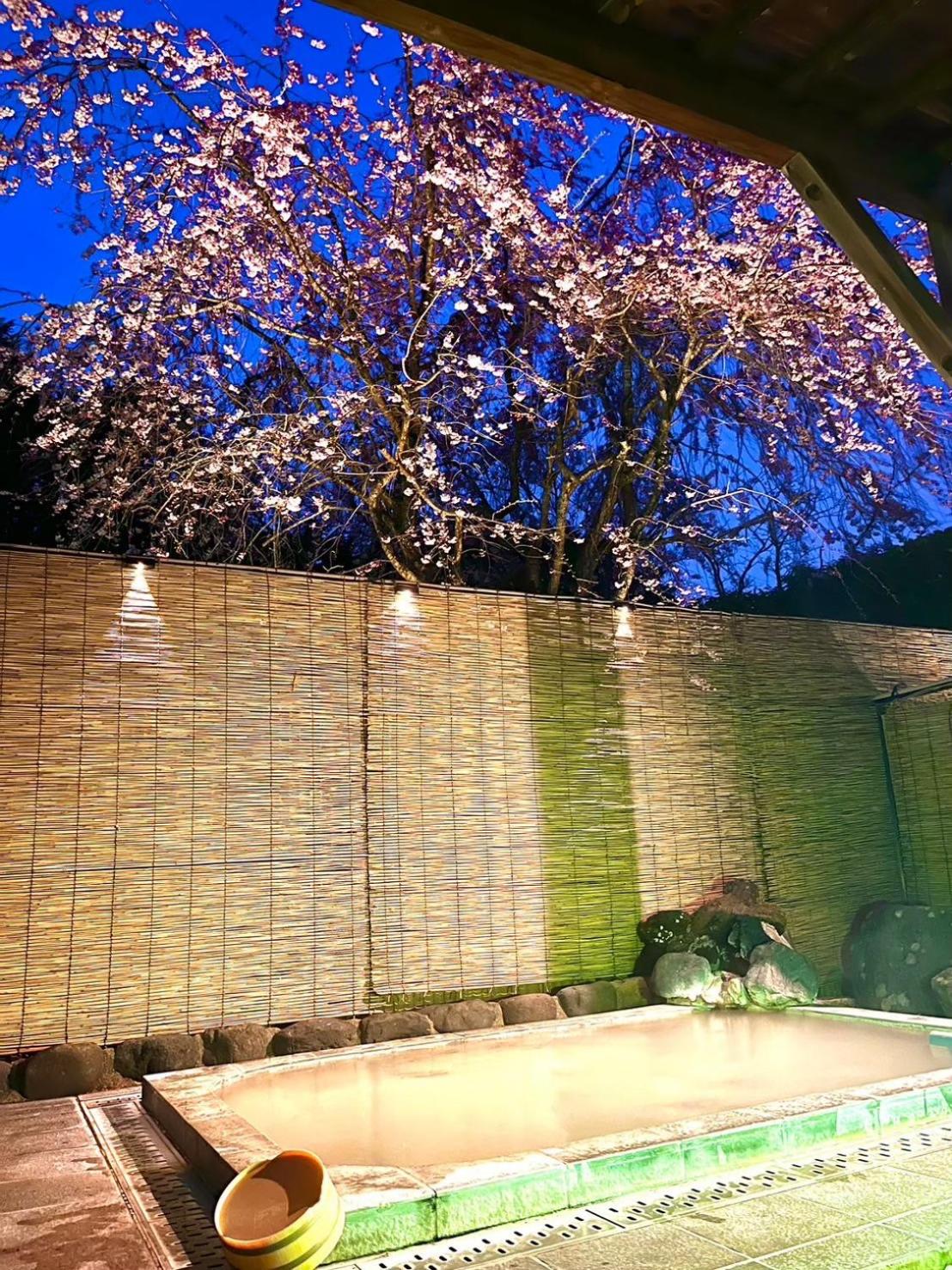 Japanese-Style Standard Twin Room - Photo 13