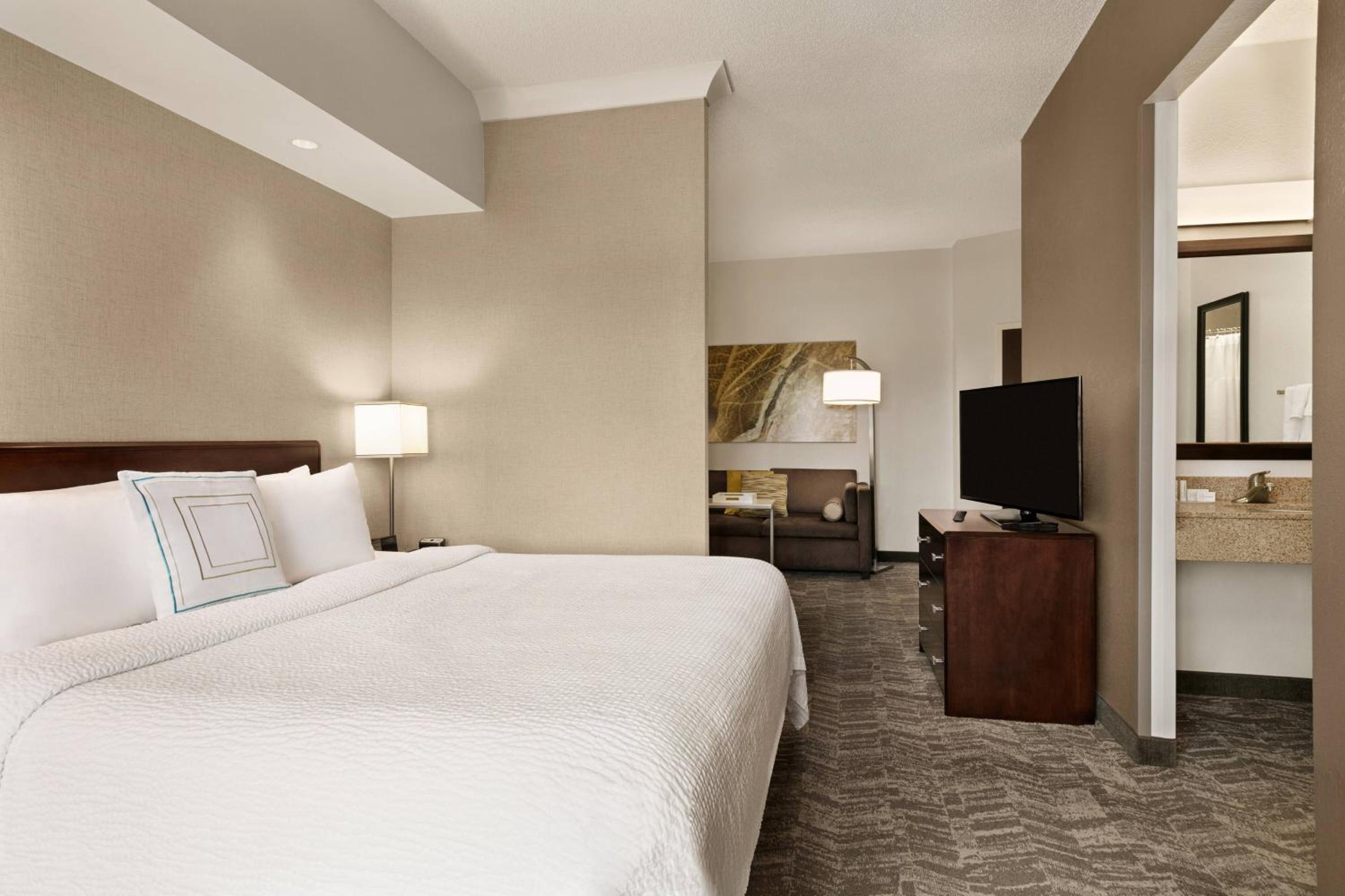 King Suite with Sofa Bed - Photo 6