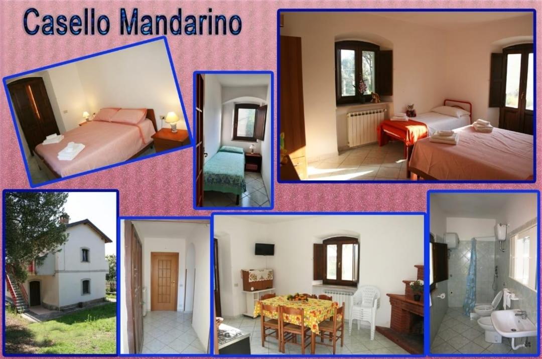 Vacation Home photo 1
