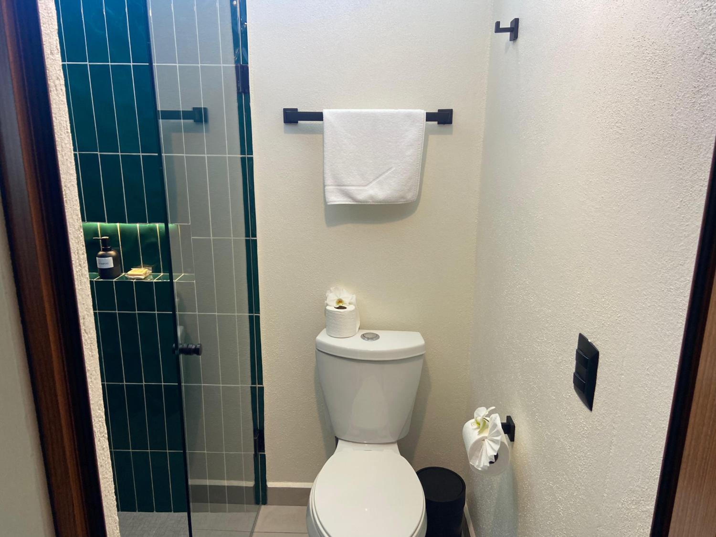 Deluxe Double or Twin Room photo 3