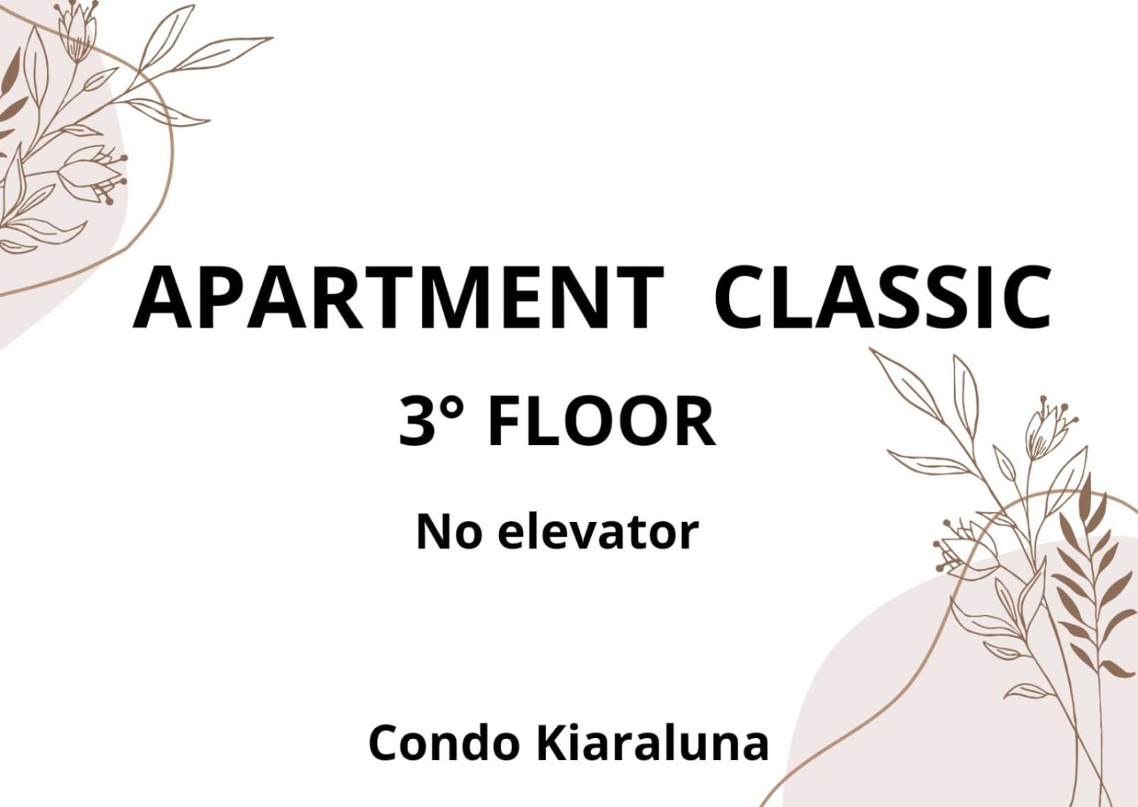 Classic Apartment
