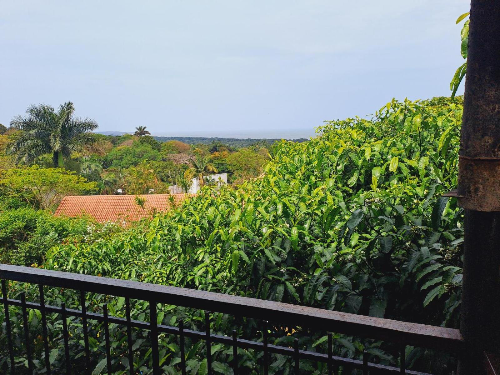Superior Double or Twin Room with Sea View photo 2
