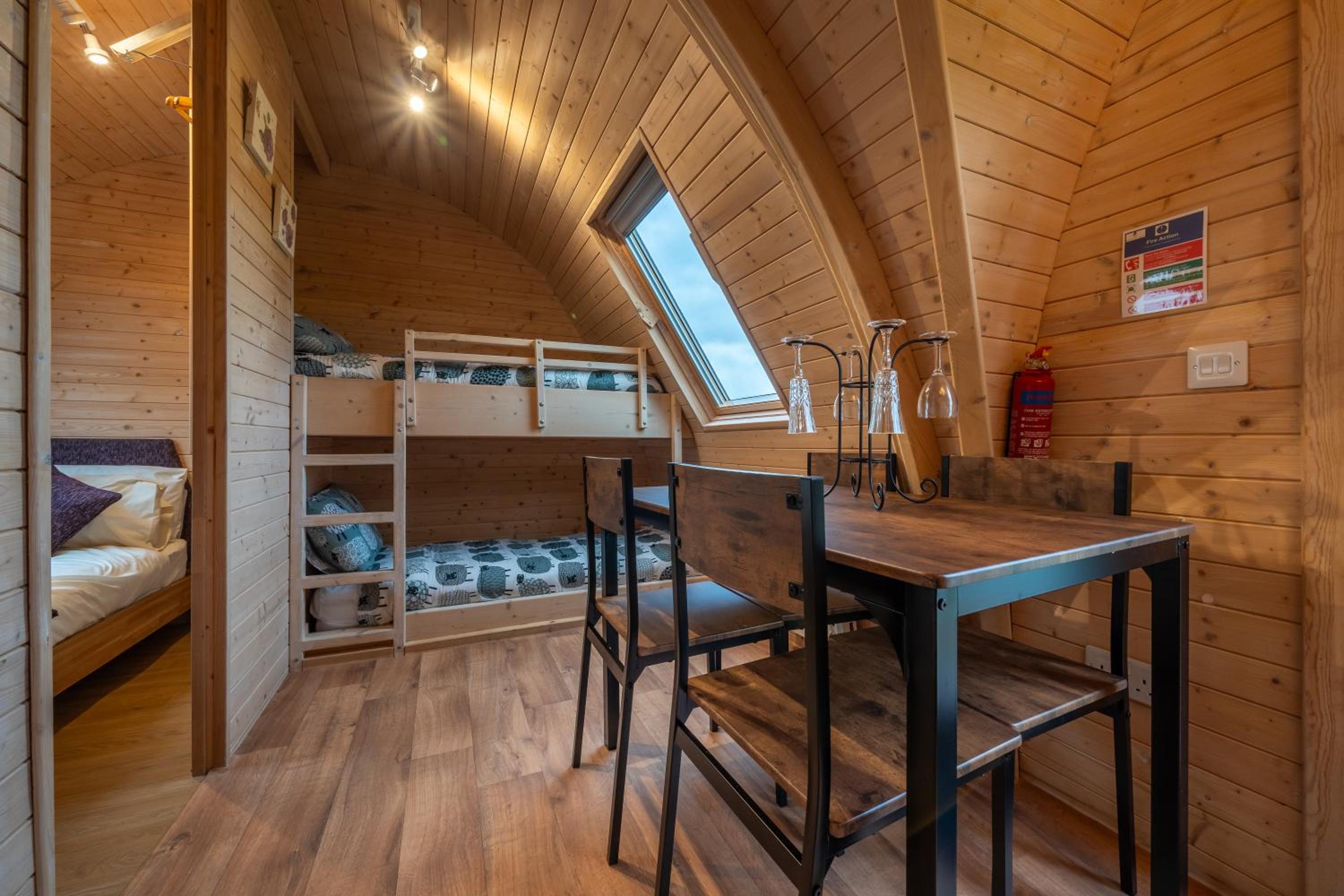 Family Room with Mountain View- Badger pod (With hot tub) photo 3