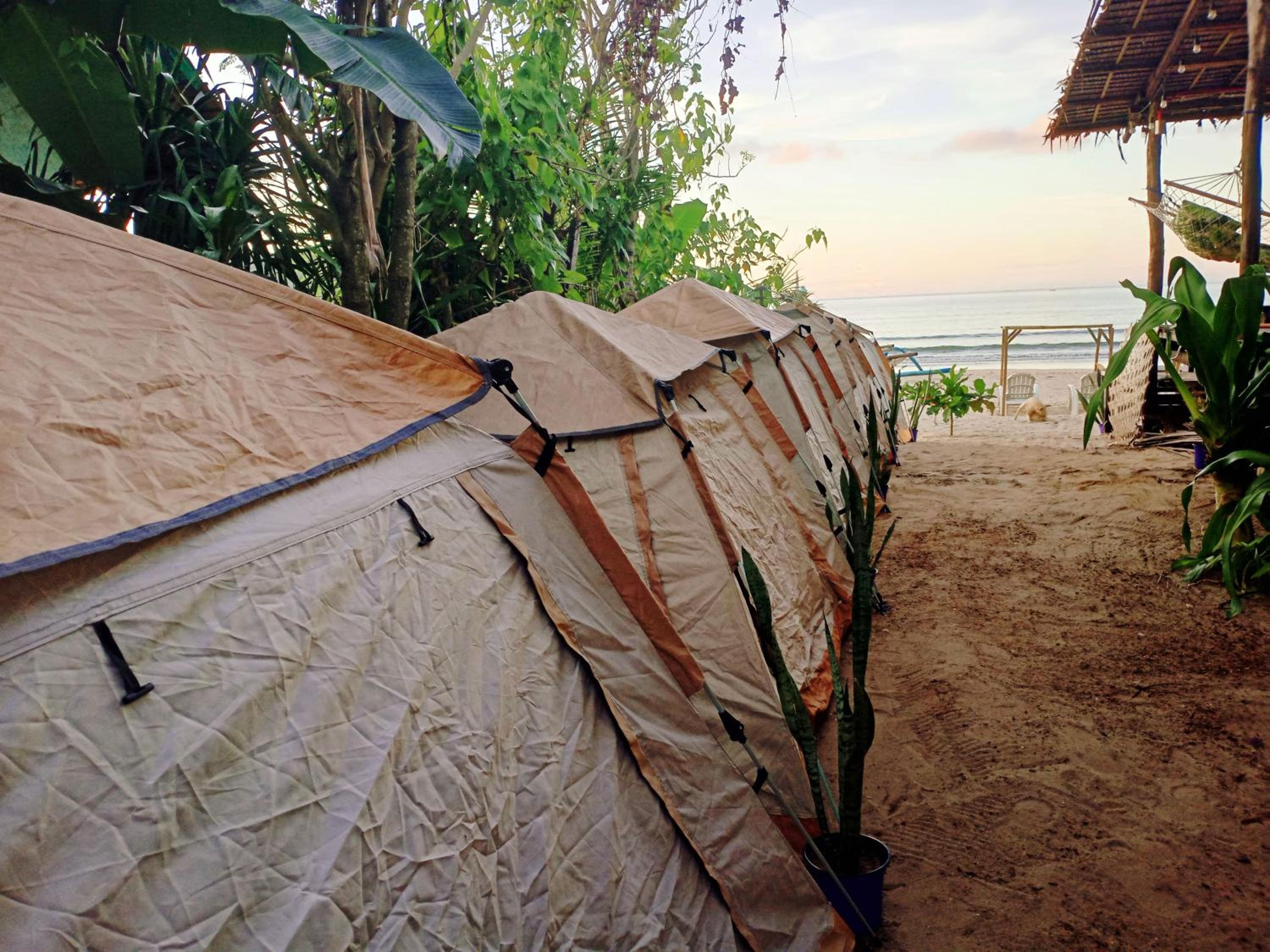 Tent photo 3