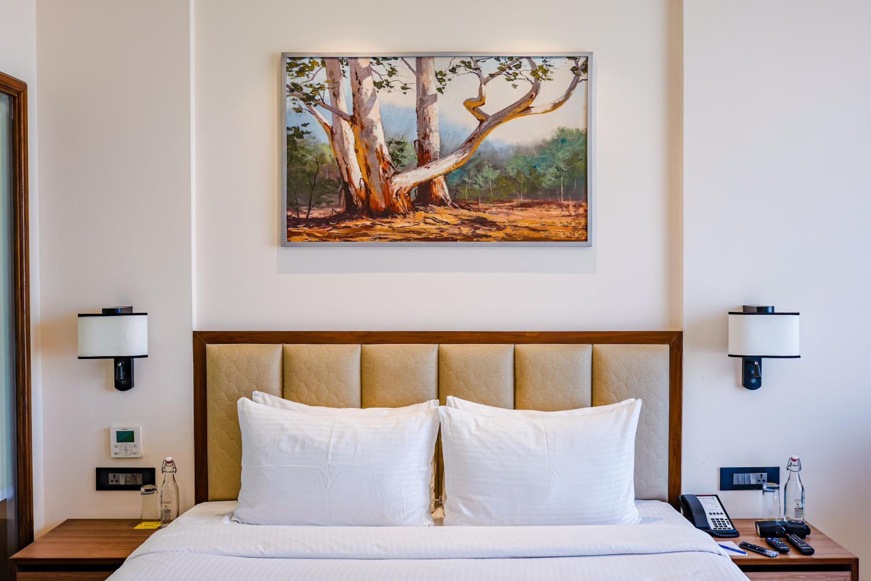 Deluxe King Bedroom - Photo 6