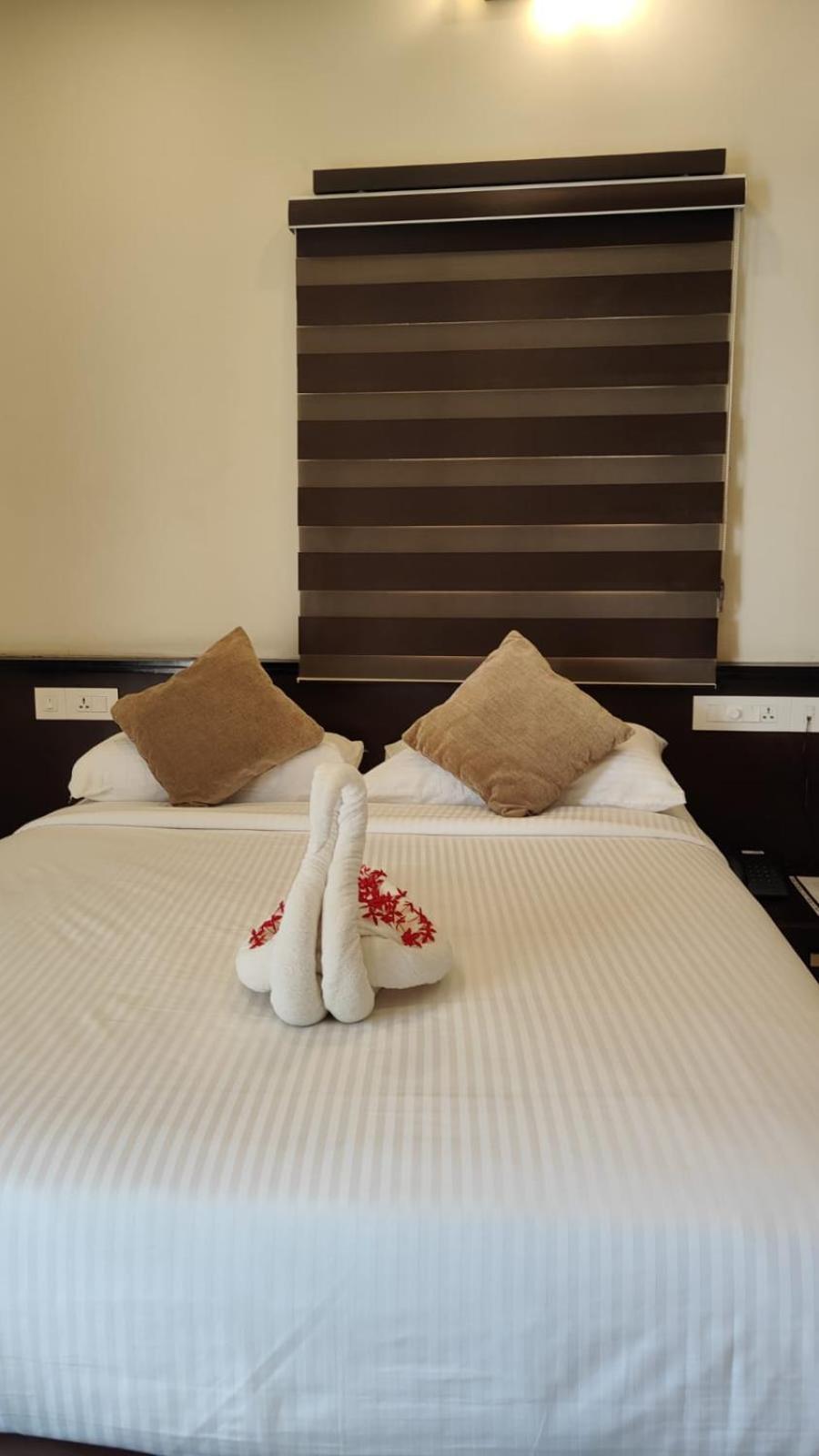 Standard Double Room photo 3