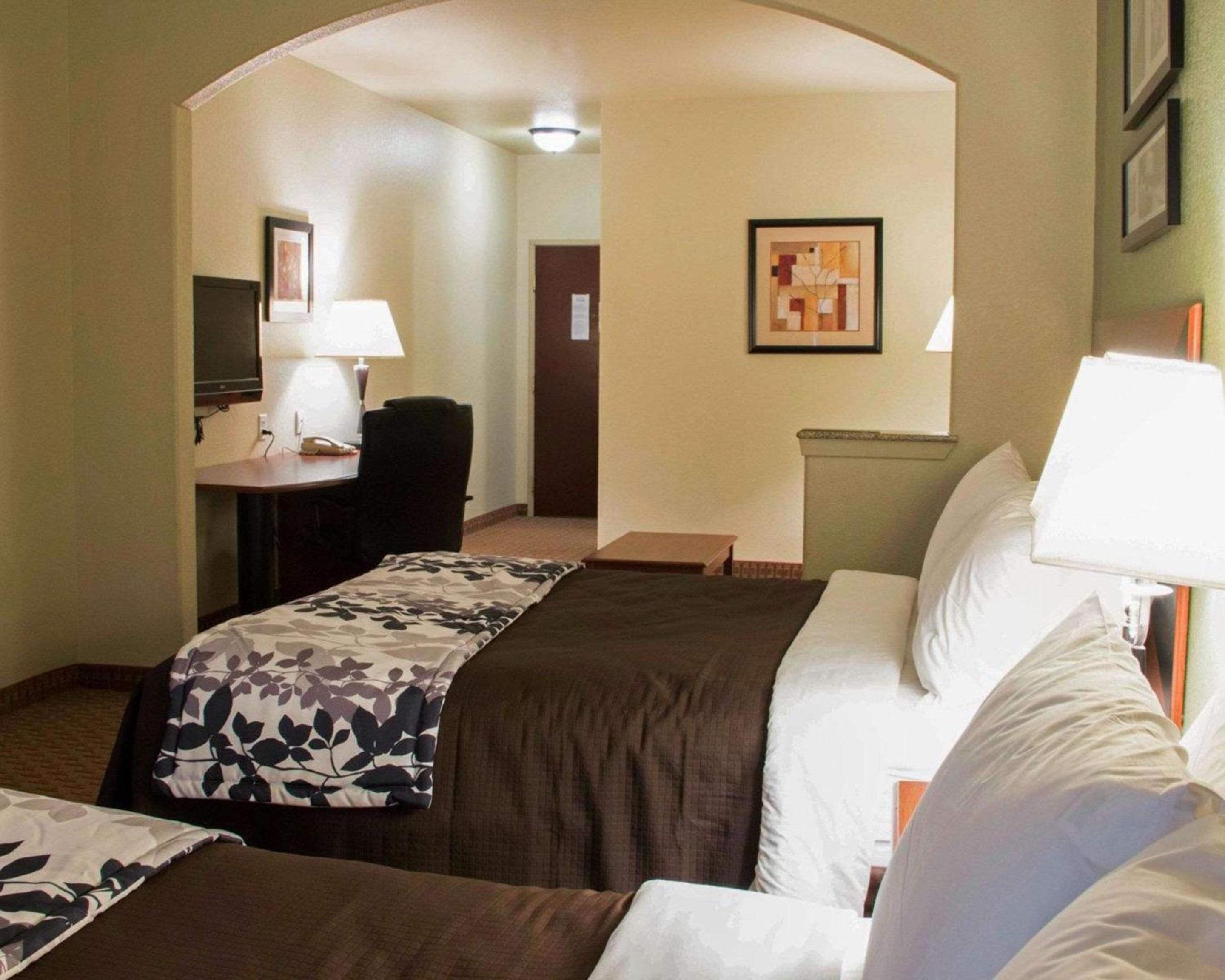 Queen Suite with Two Queen Beds and Sofa Bed - Photo 5